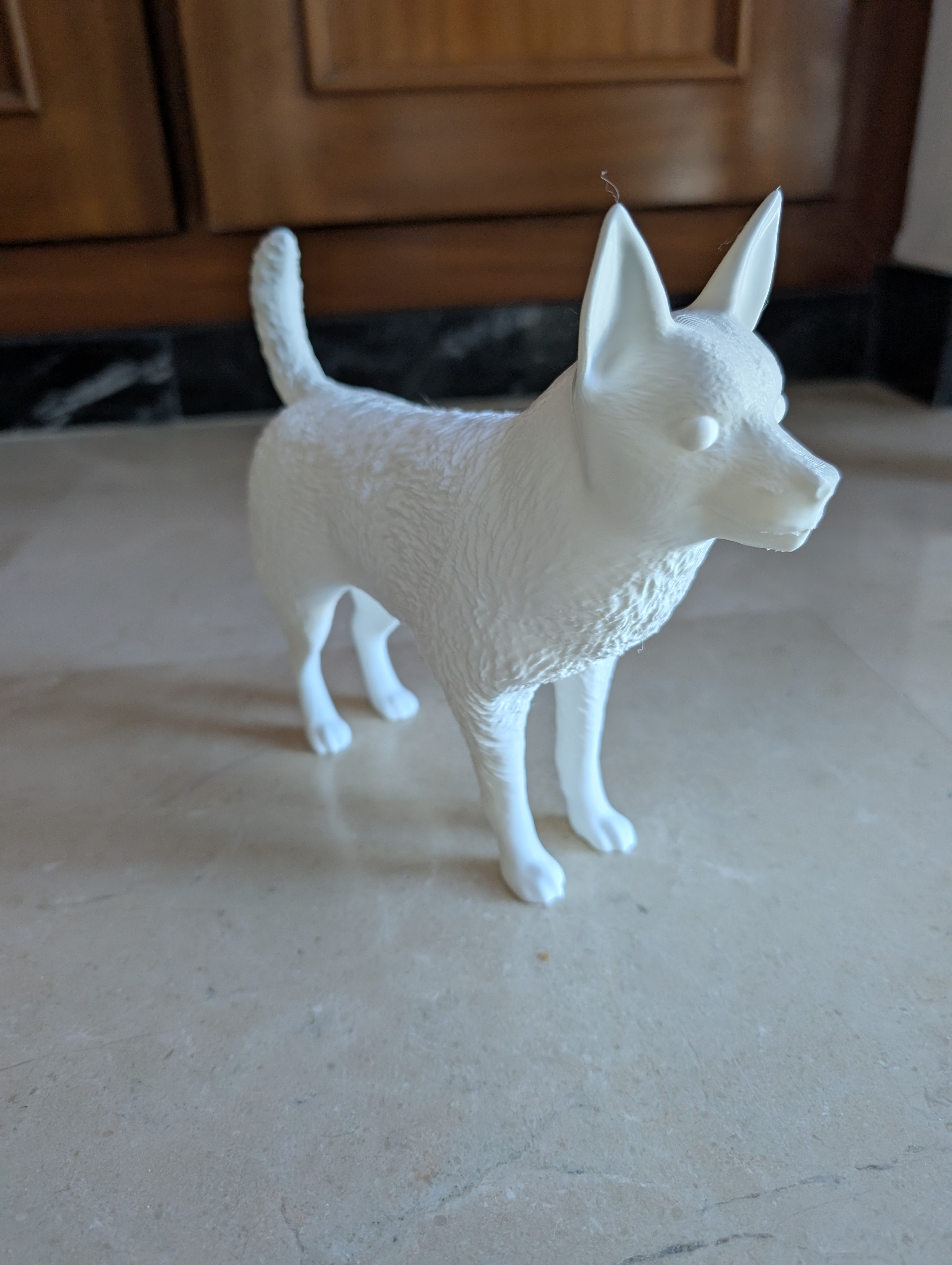 The Dog