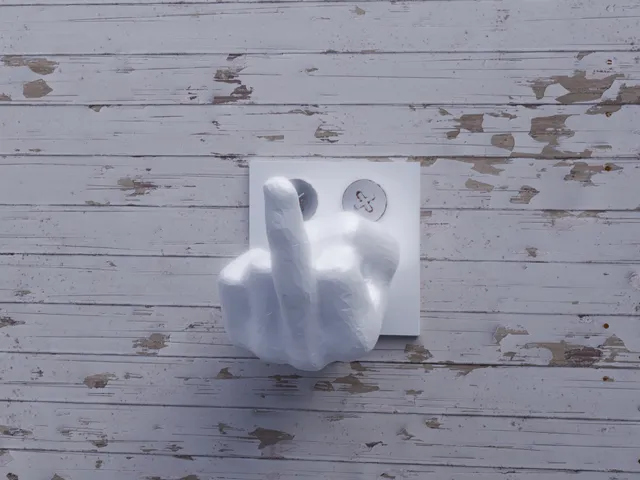 Funny middle finger hanger