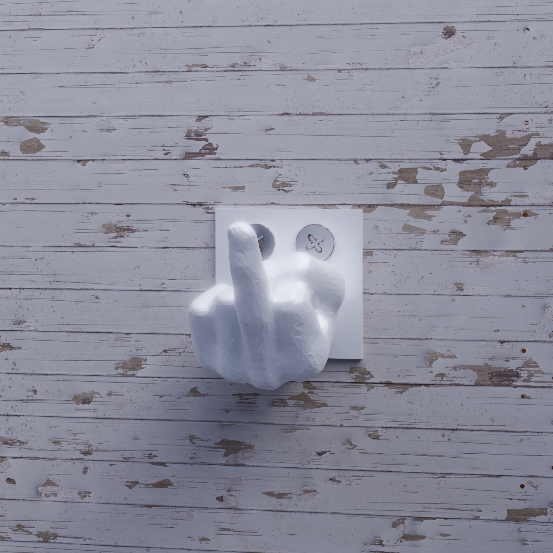 Funny middle finger hanger