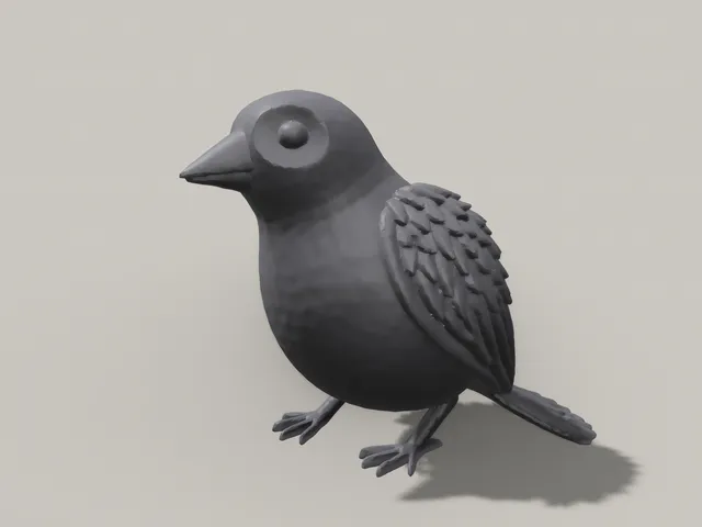 Bird
