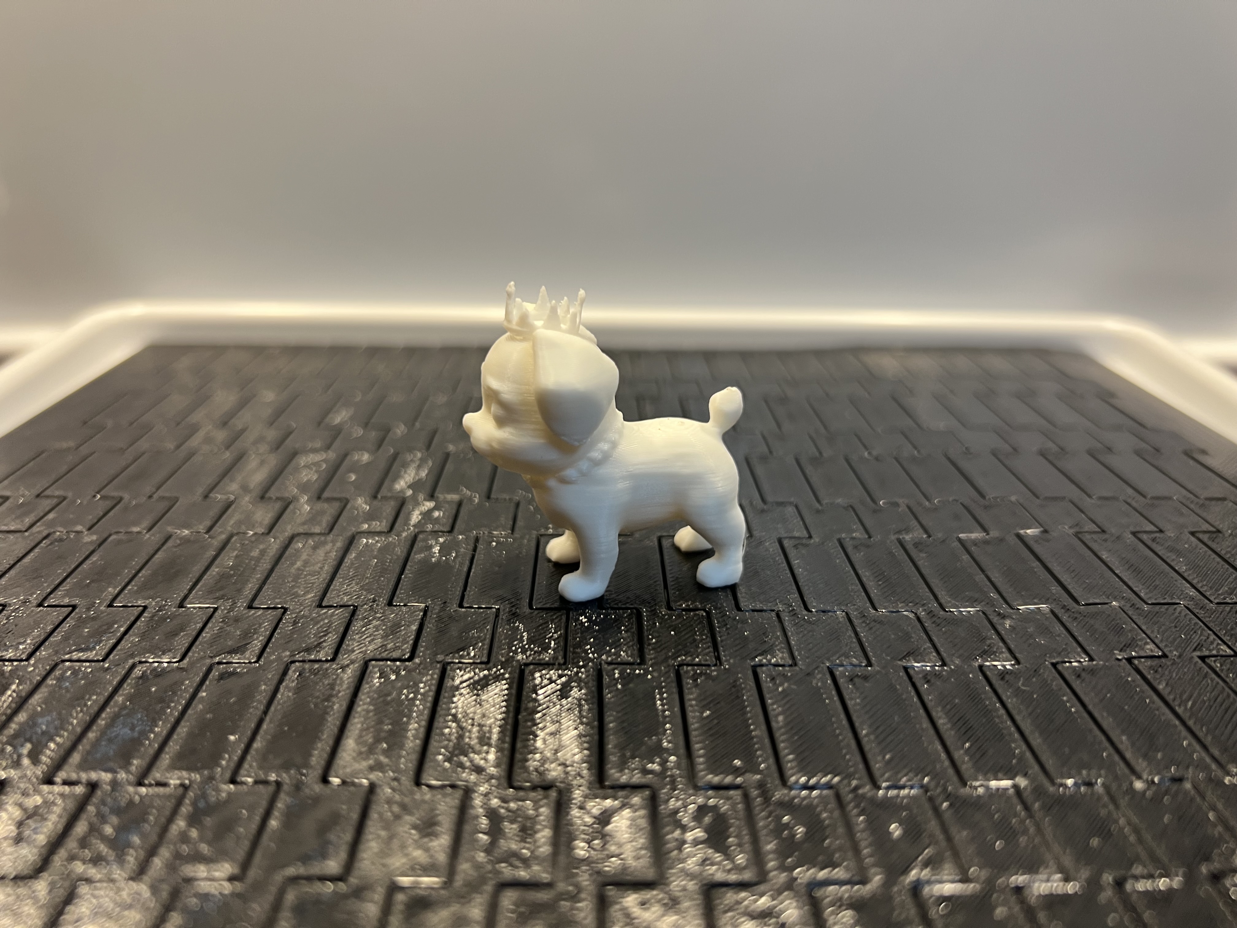 Puppy Prince wearing a necklace and crown — miniatura 2
