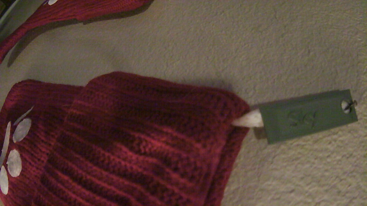 Cat/Person/Dog Stocking Nametag