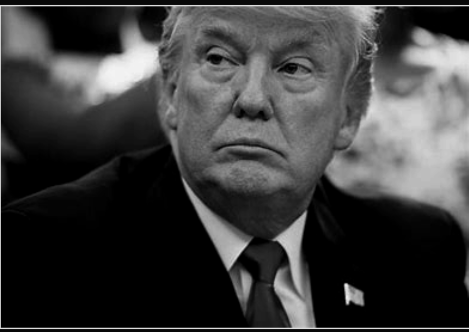 donald trump lithopane