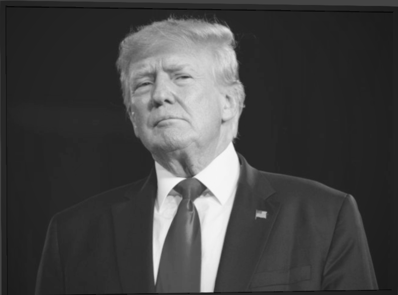 donald trump lithopane