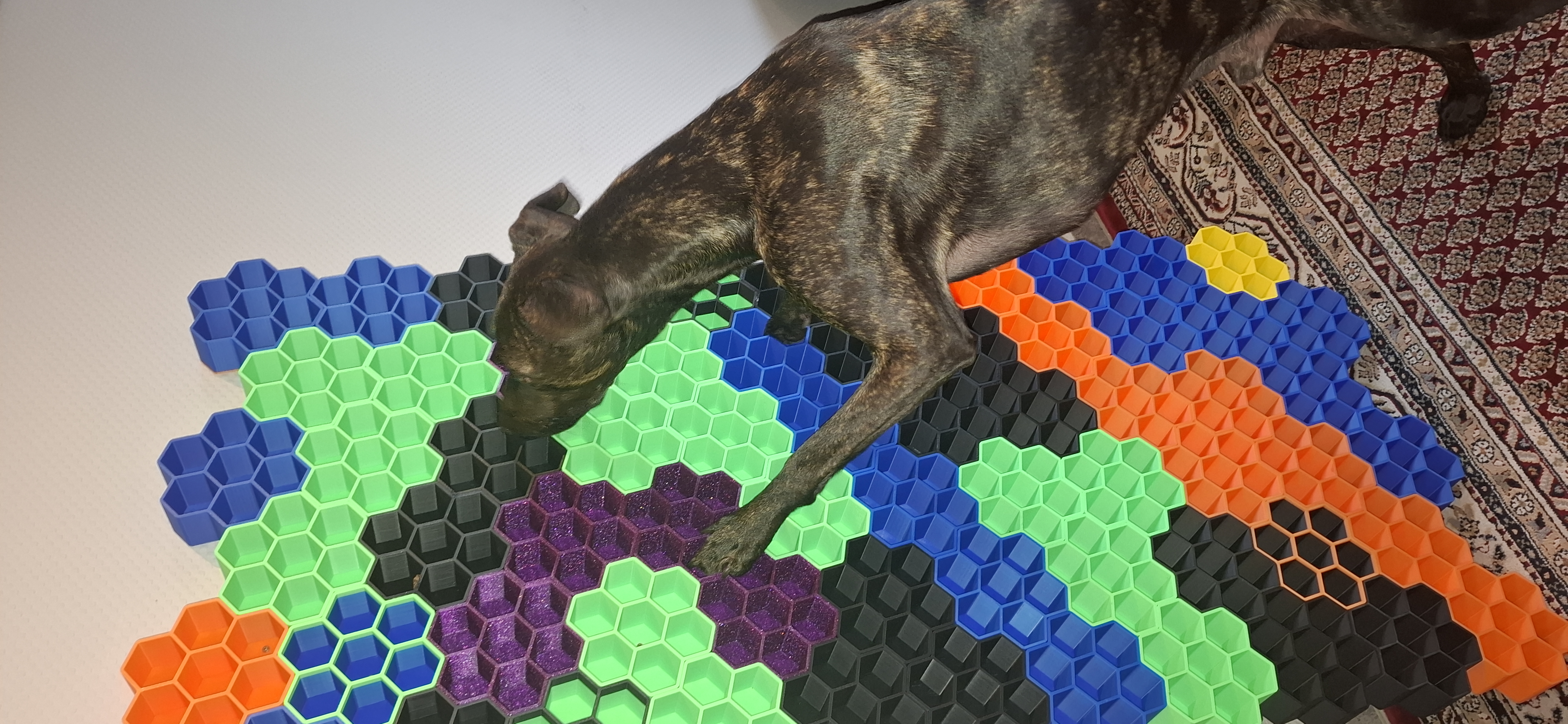 Schnüffelwaben Hundespielzeug