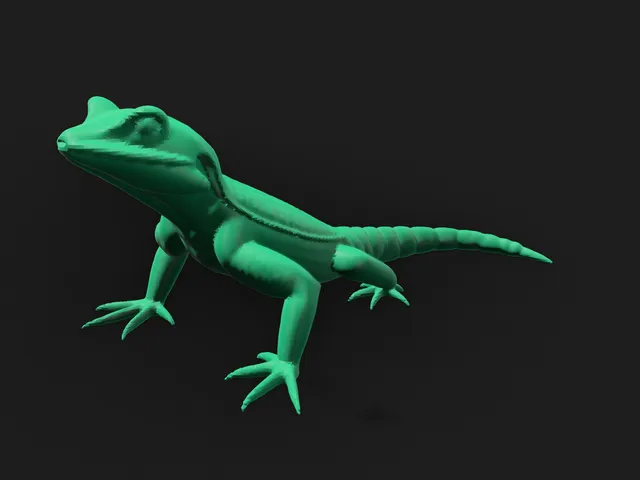 Lizard
