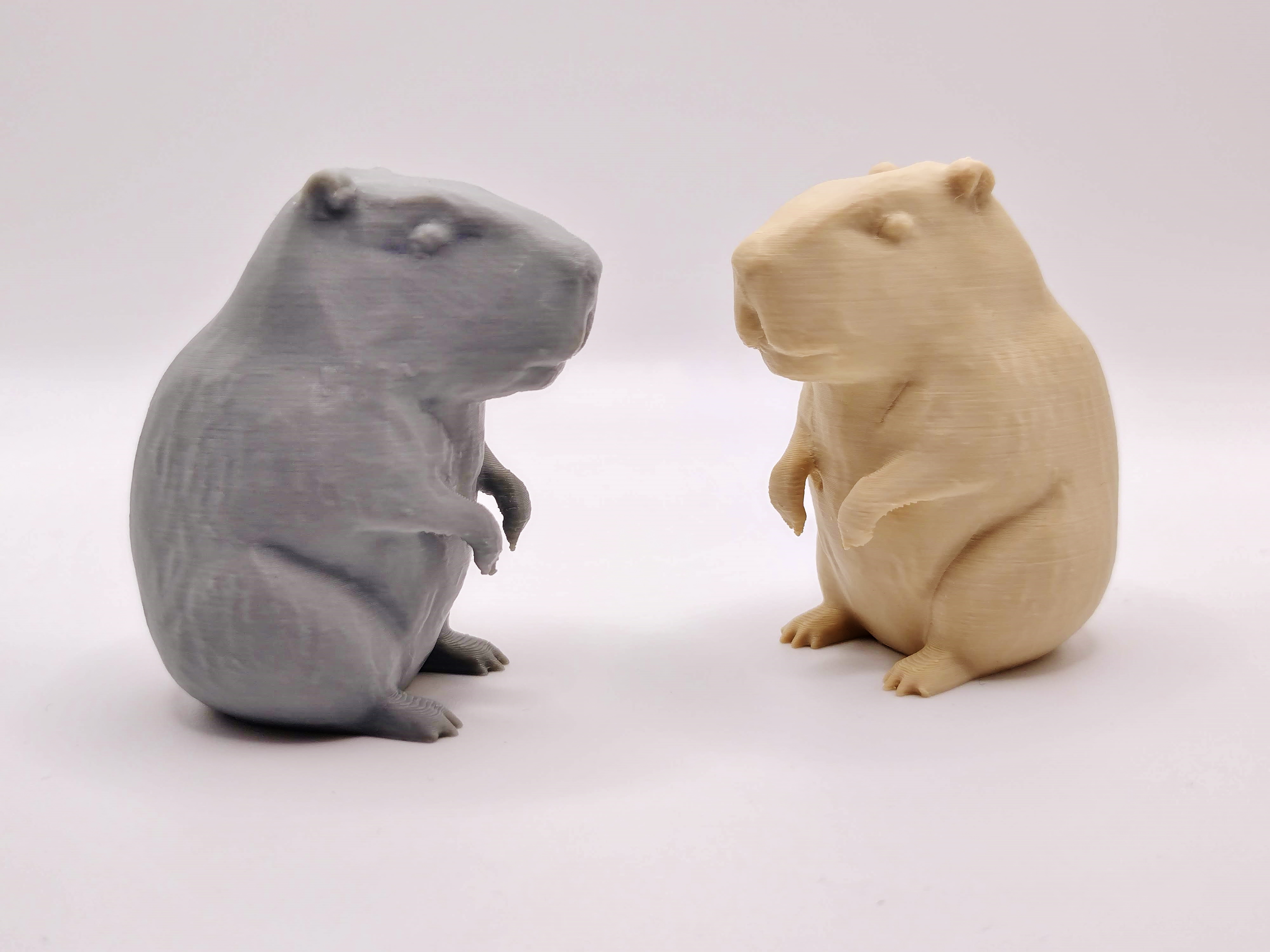Miniatura 3 do modelo 3D Capybara