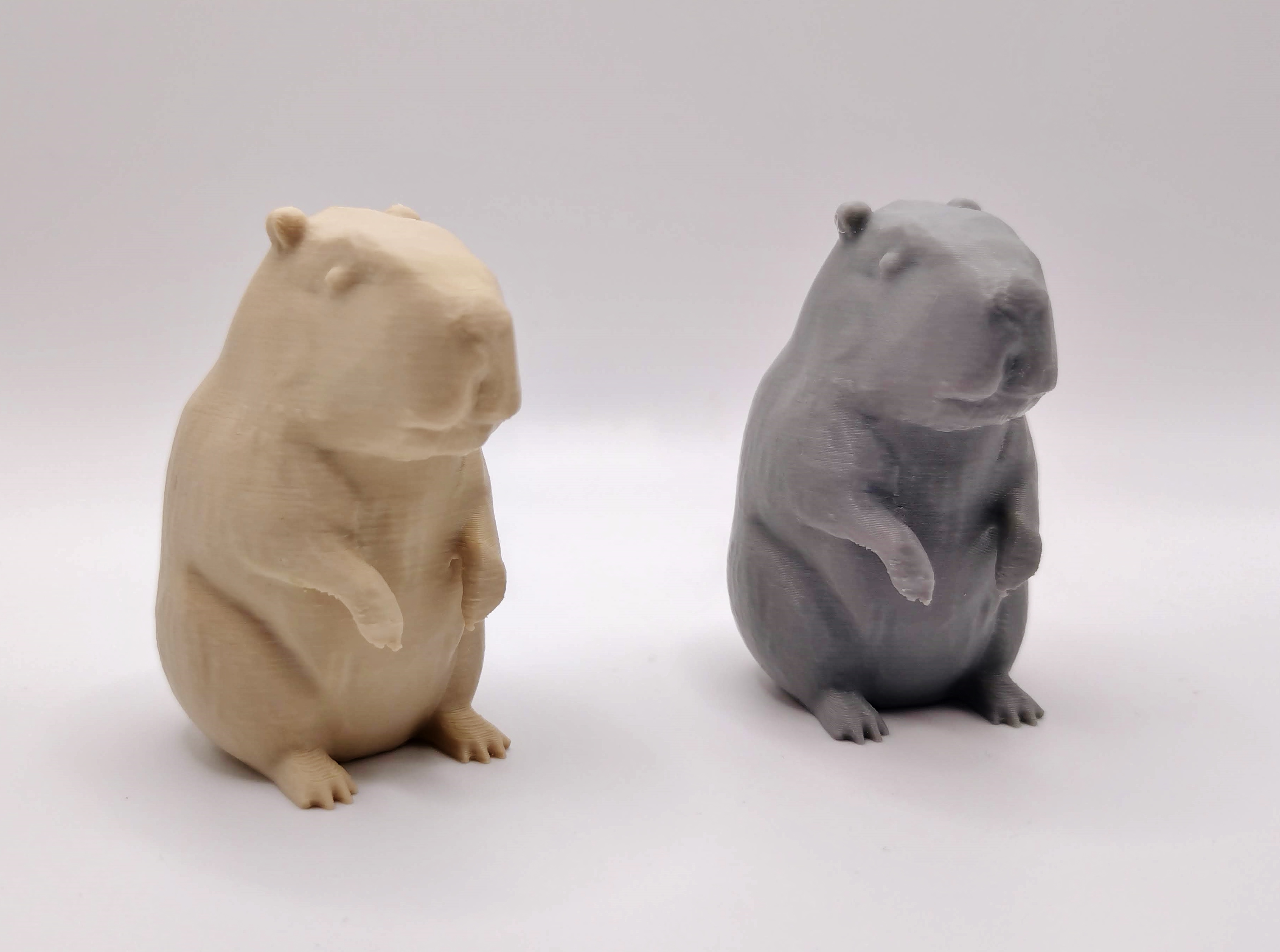 Miniatura 2 do modelo 3D Capybara