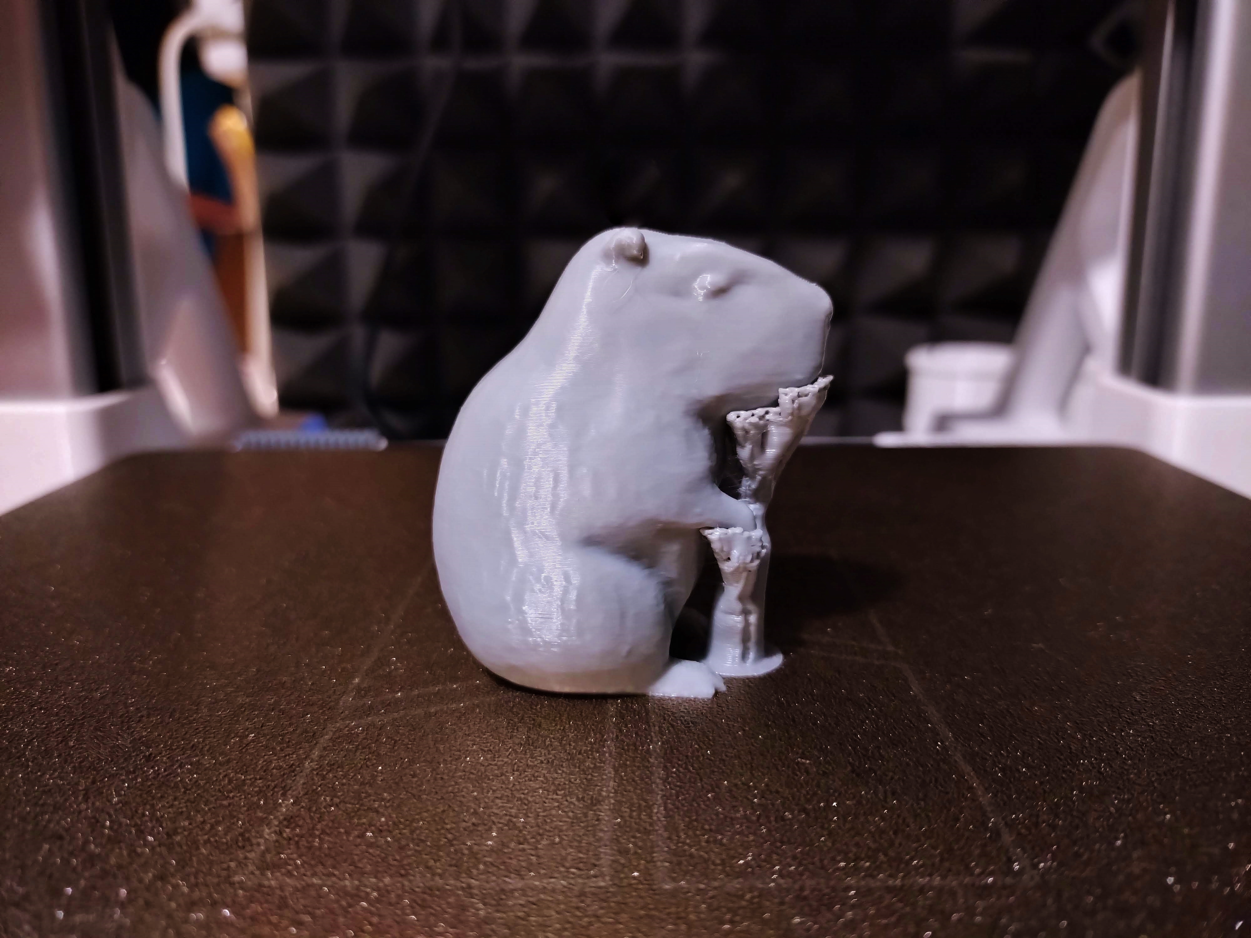 Miniatura 4 do modelo 3D Capybara