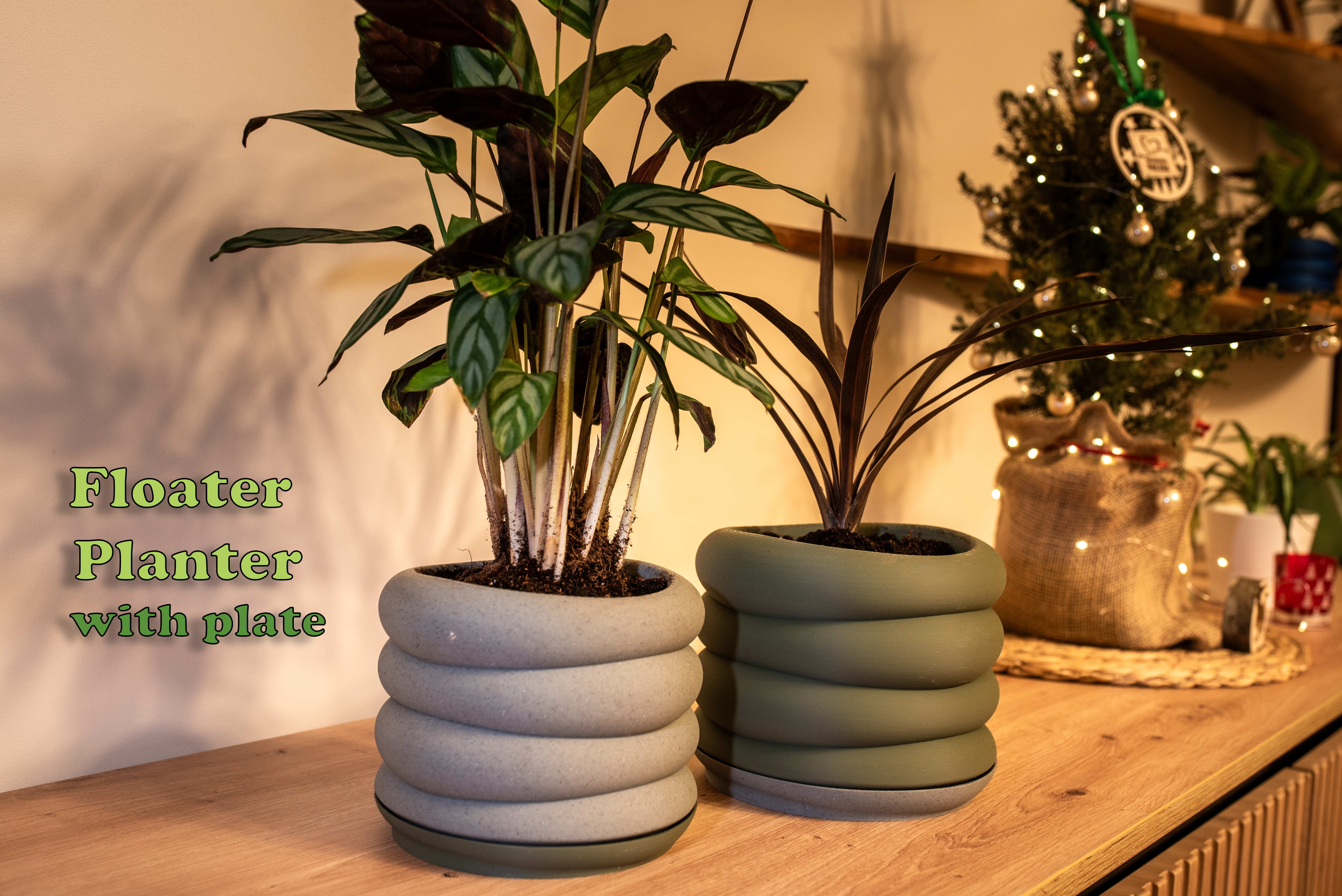 Floater Planter with plate