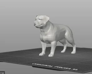 Rottweiler Dog Model