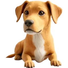 Dog Model Labrador Hybrid Mix