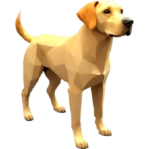 Dog Labrador Model Low Poly