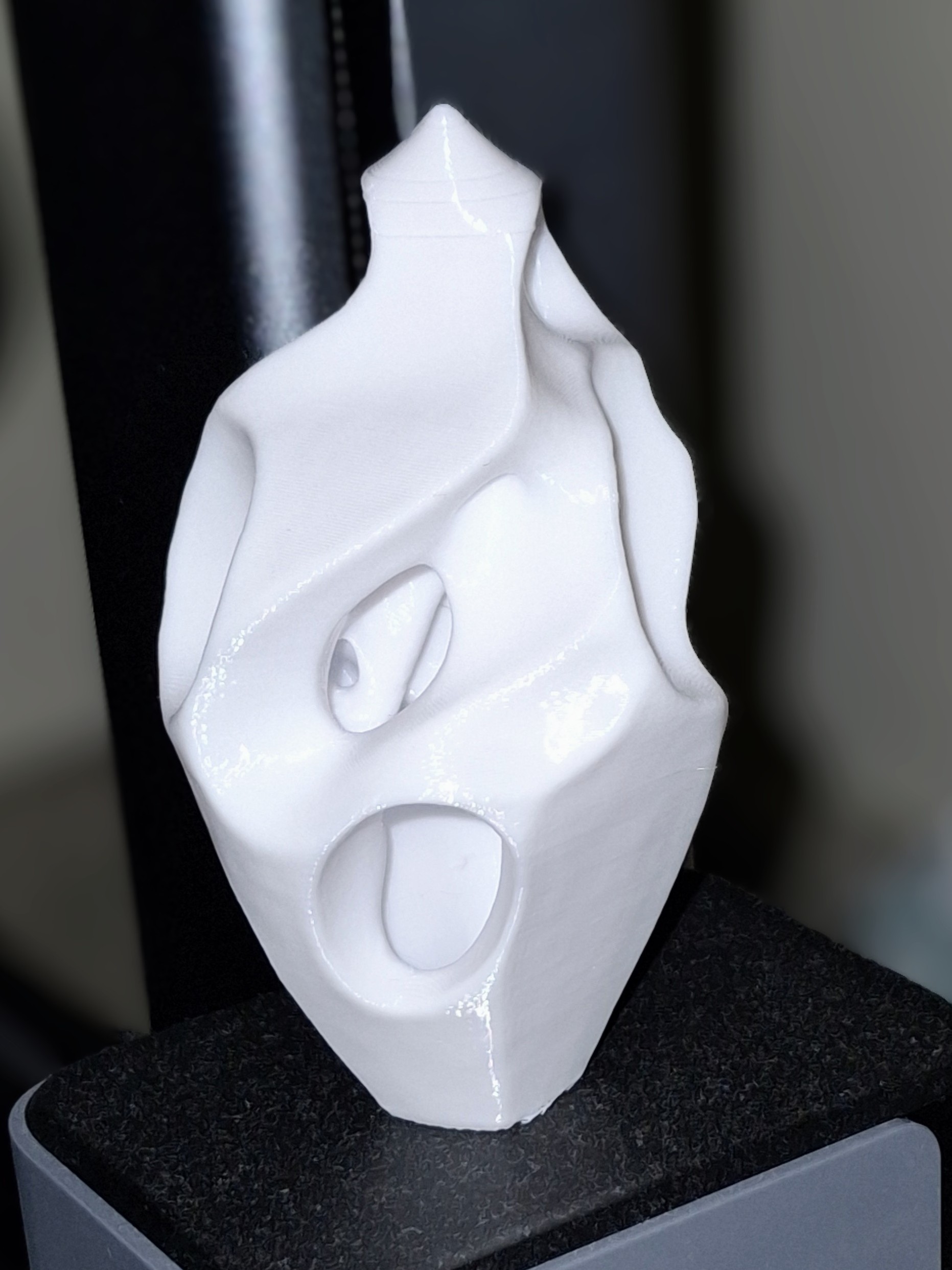 Organic Sculpture - support free