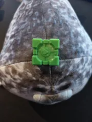 Companion Cube