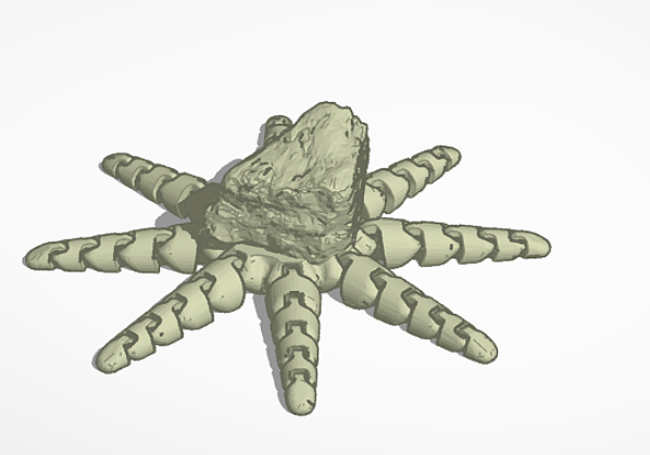 Actual Rock-octopus Rocktopus