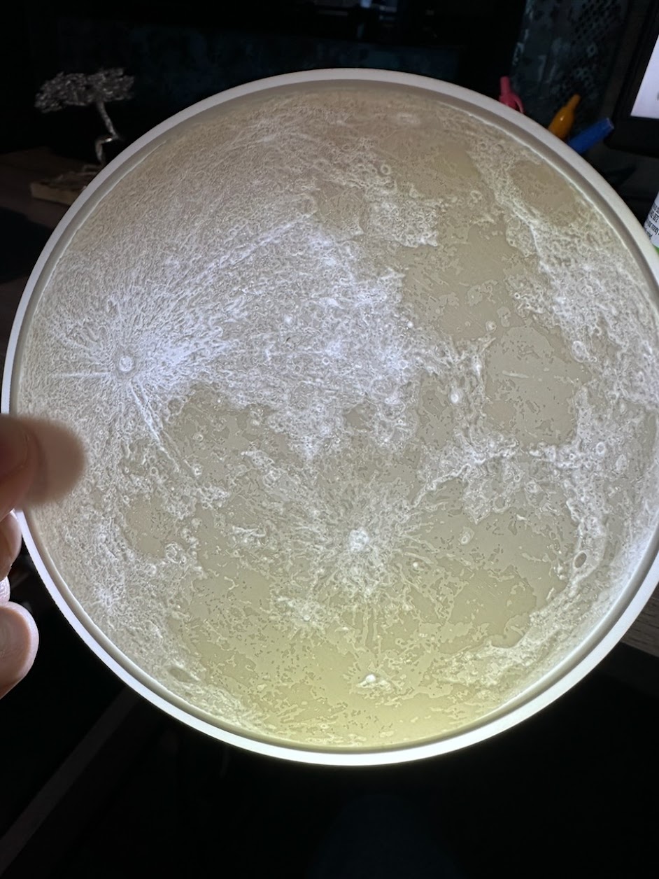Moon Lamp Shade Top Cover with Inverted Flange