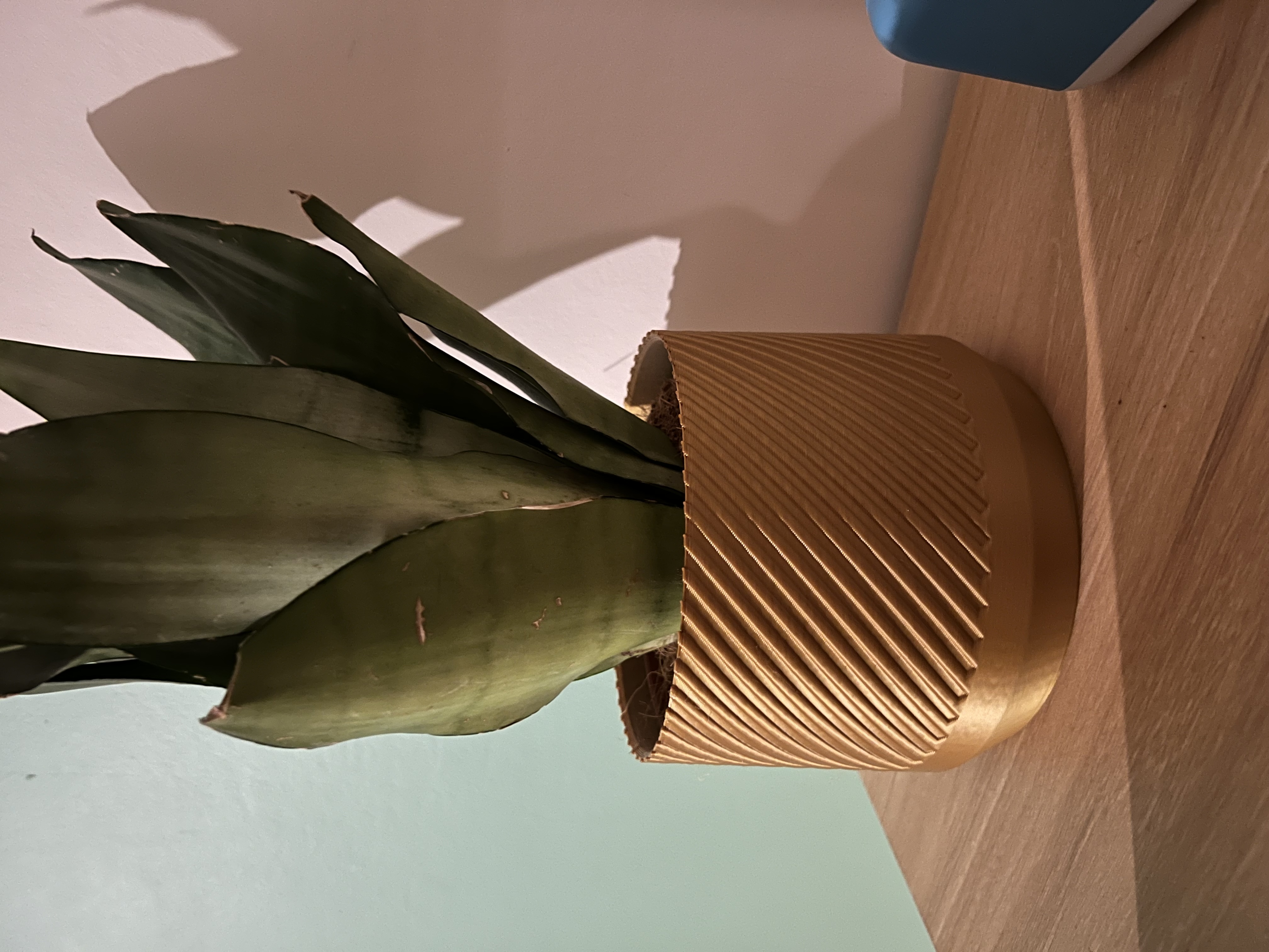 The Niene - Plant pot and Planter