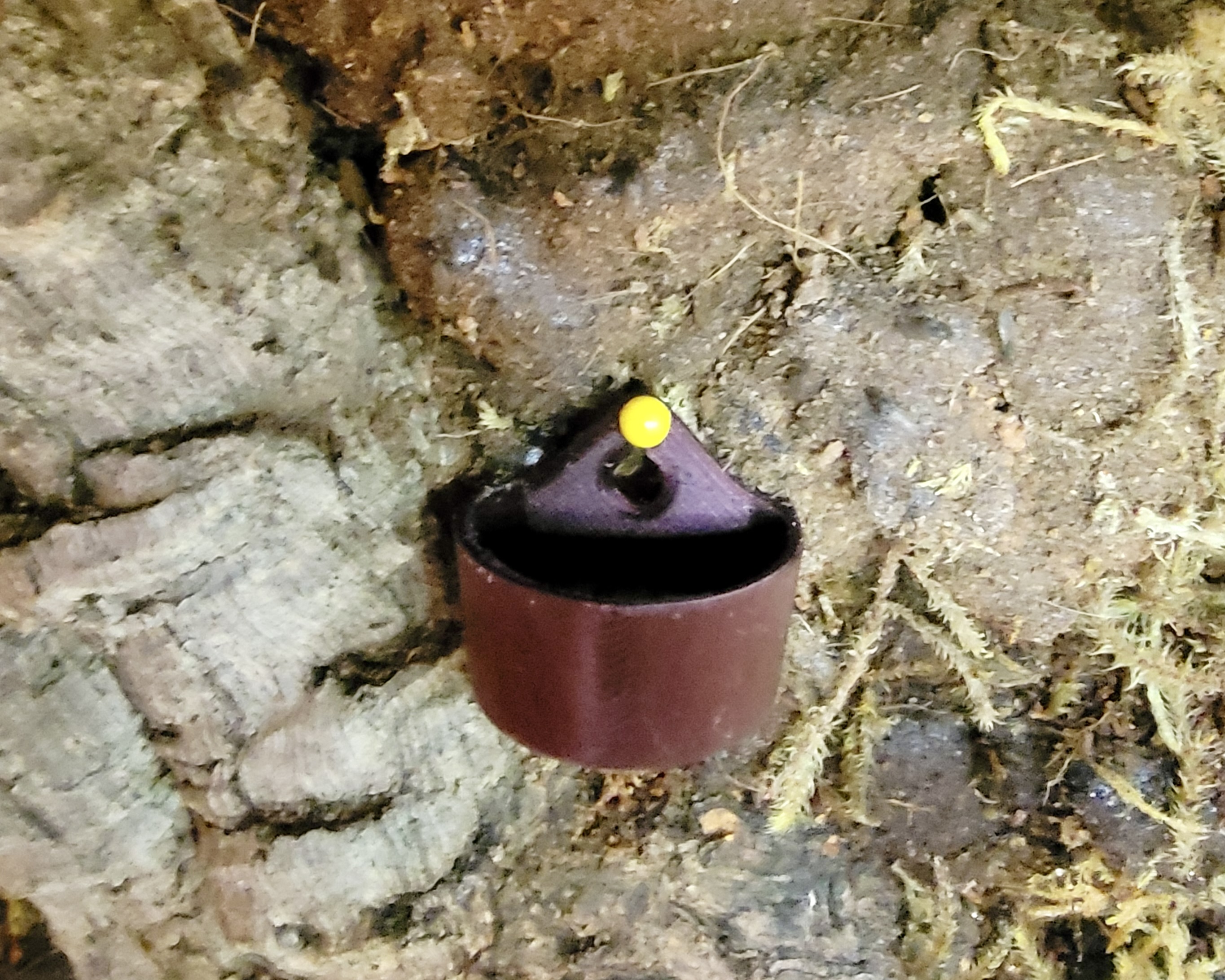 Pinnable Feeding Dish — thumbnail 2