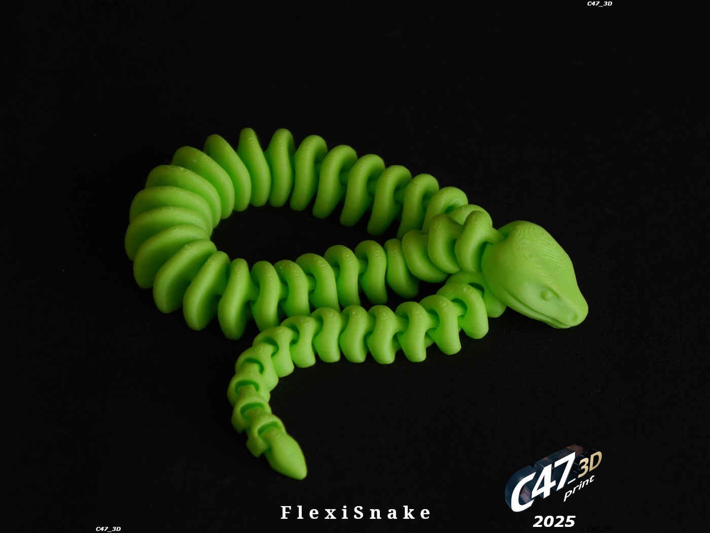 Miniatura 2 do modelo 3D Flexi Snake