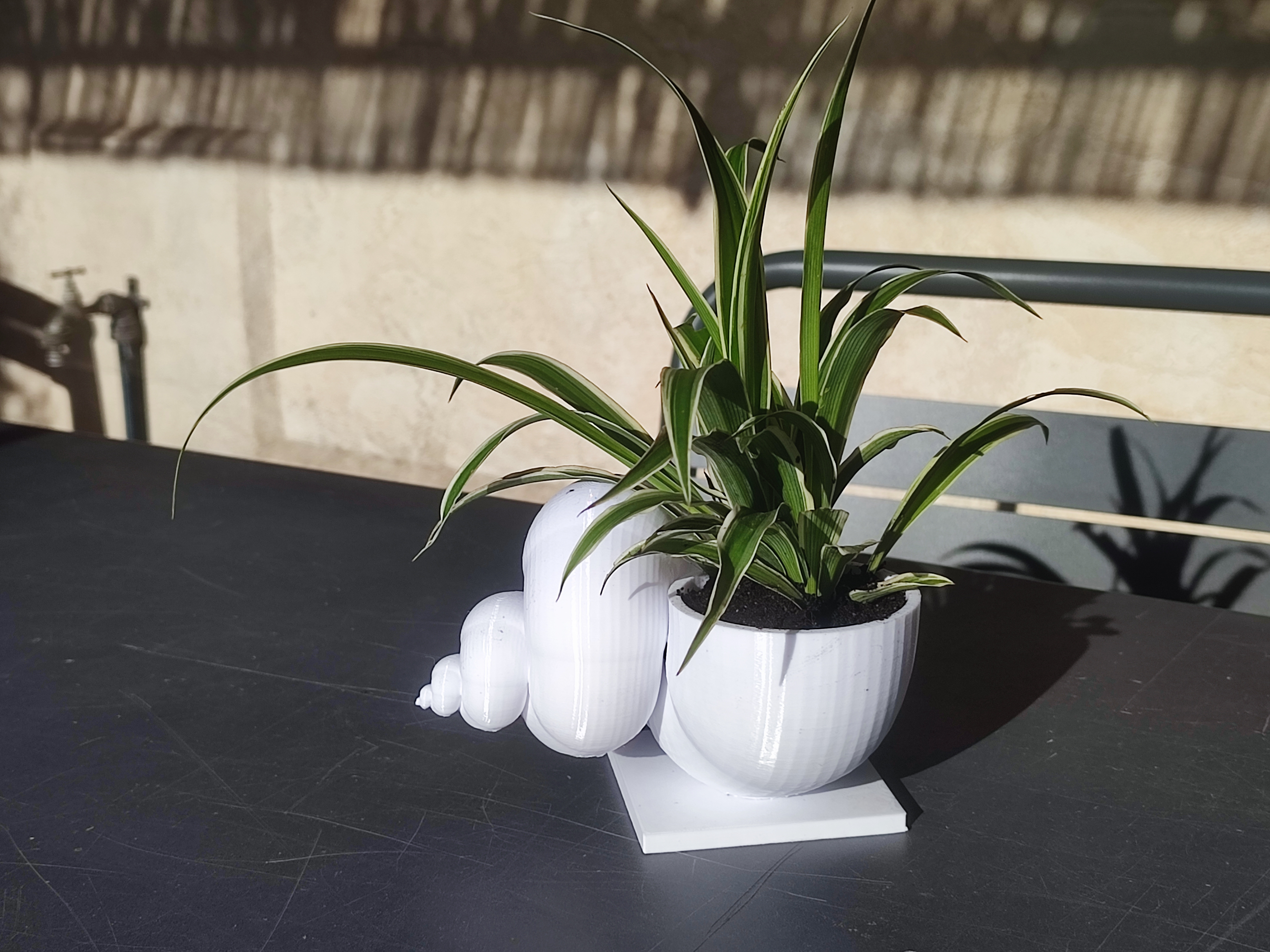 JOli Planter 1 - Shell