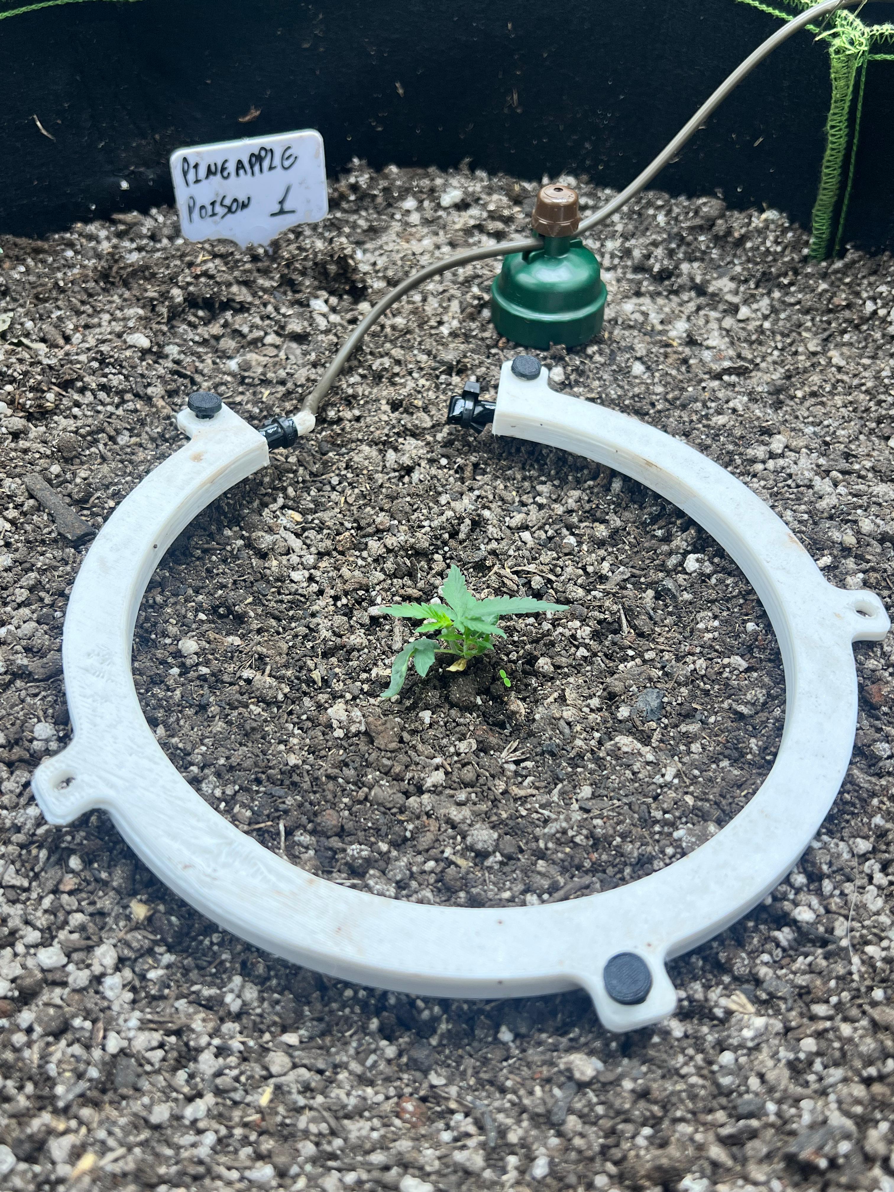 Drip ring for blumat system — thumbnail 2