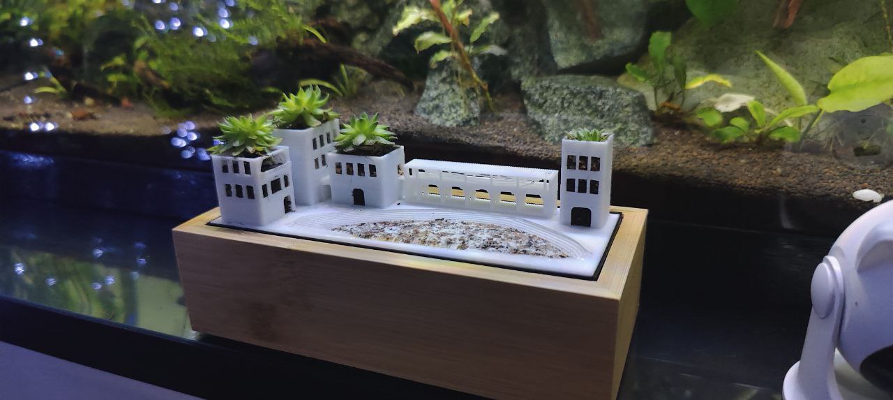 A small house for succulents