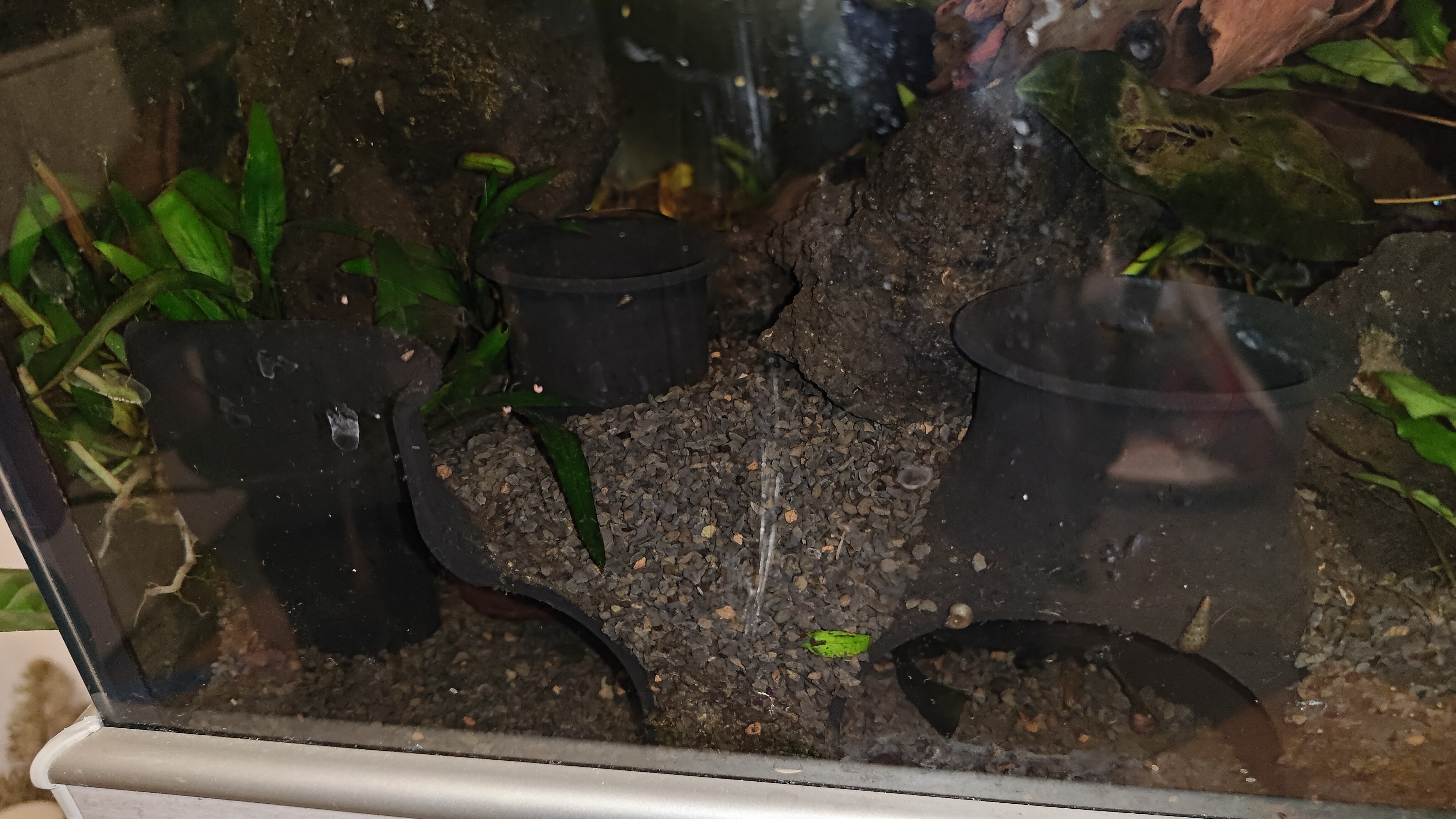 Aquarium Höhle/Cave unterschiedliche Größen