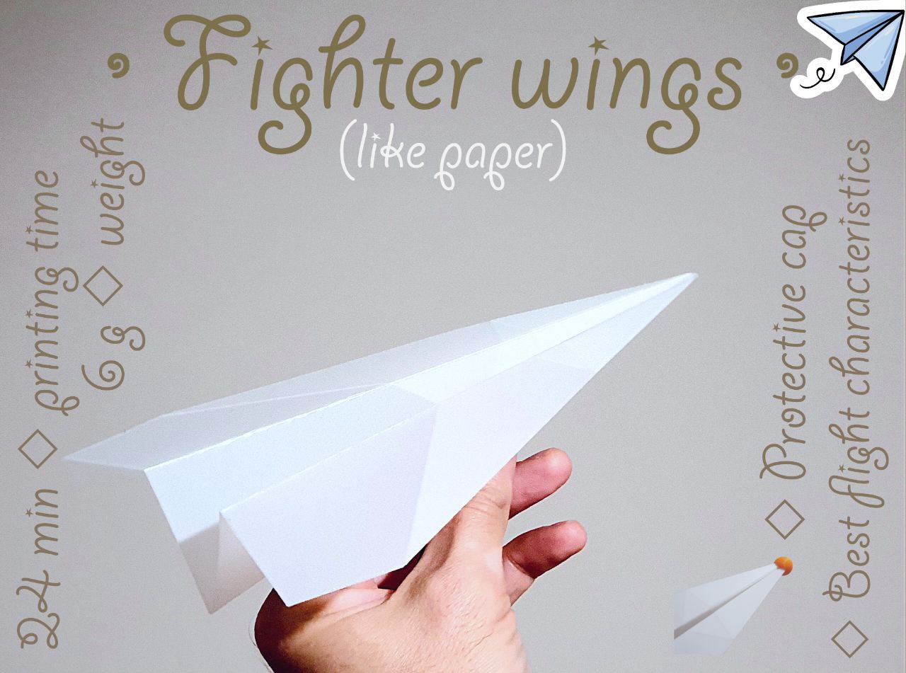 Fighter wings
