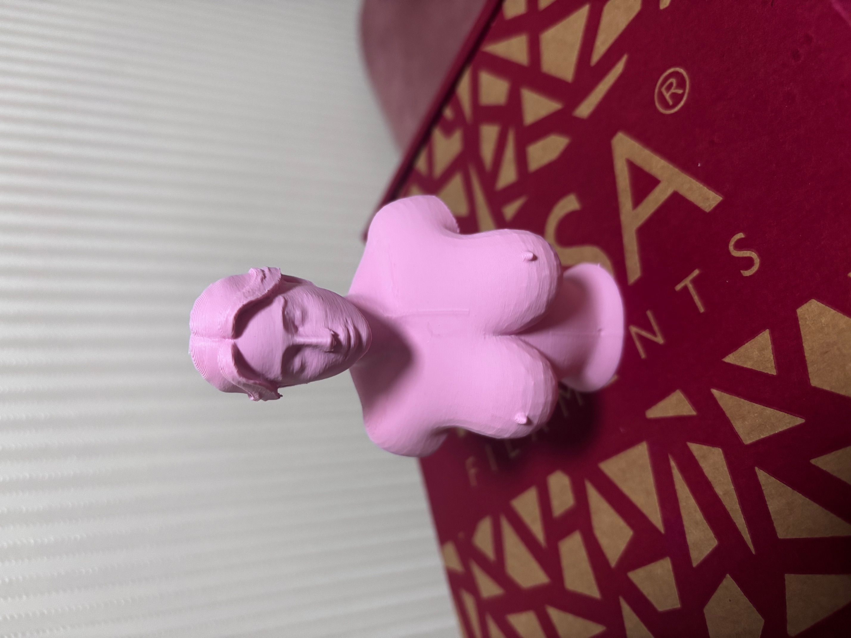 Big breasted lady nude bust