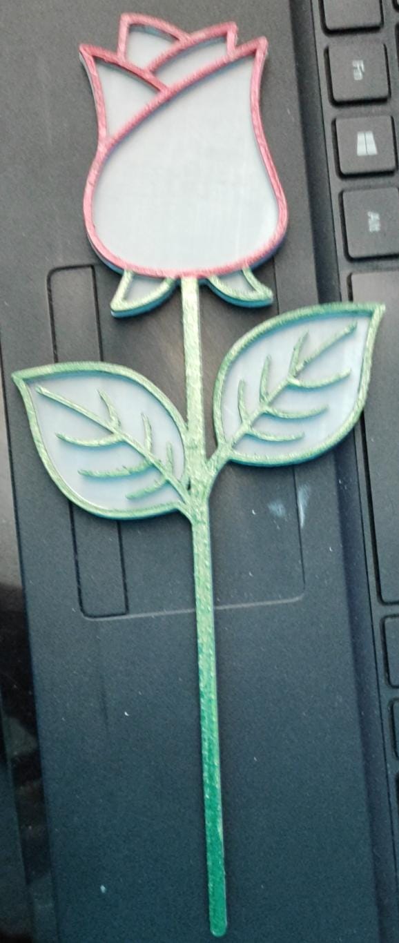 rosa