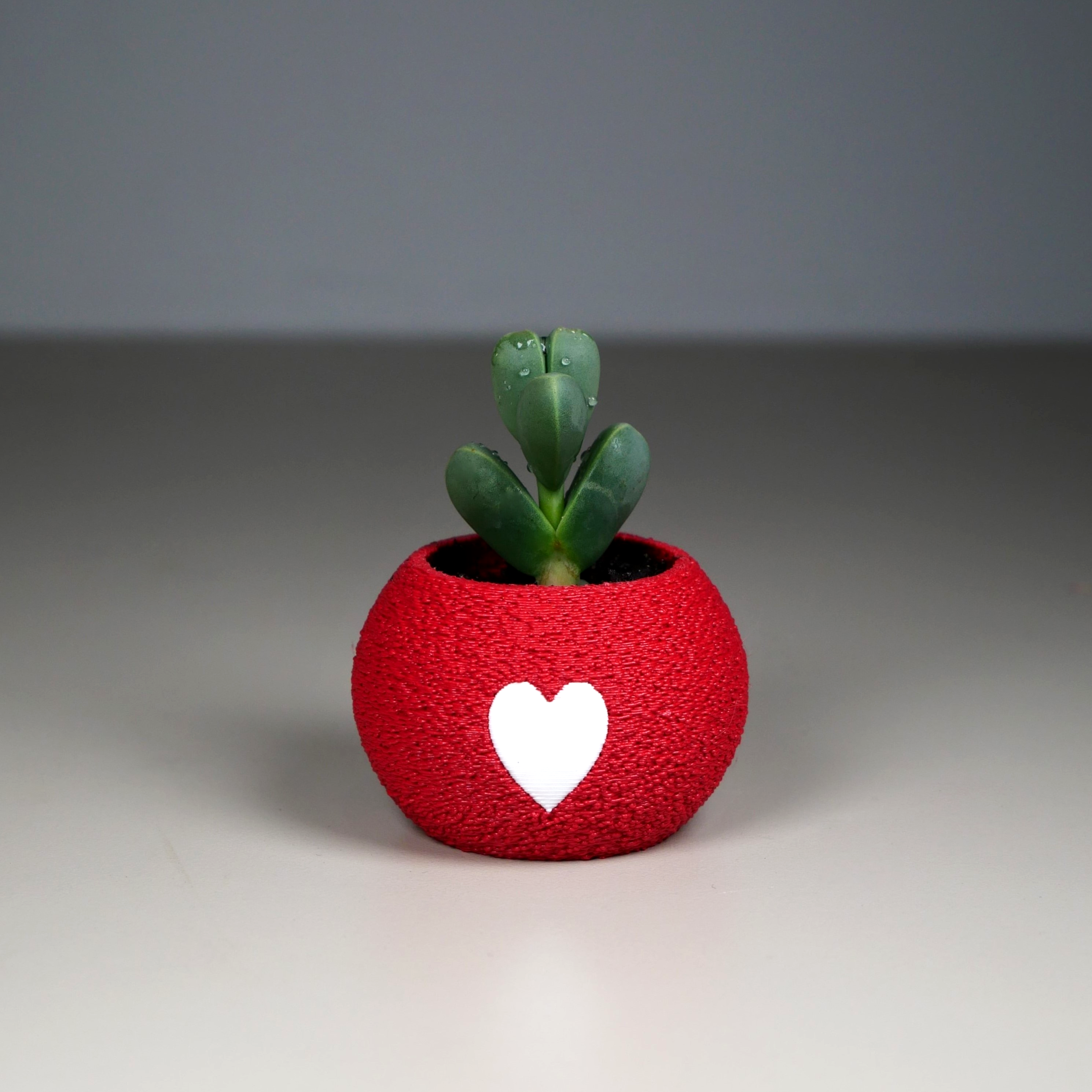 Tiny Valentine Pot