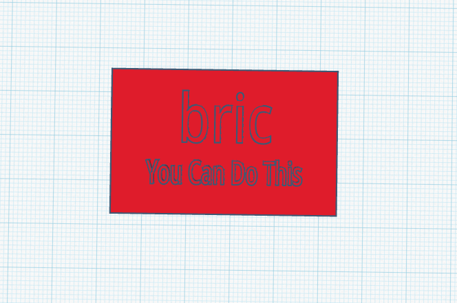Emotional support bric NERF ATTACHMENT