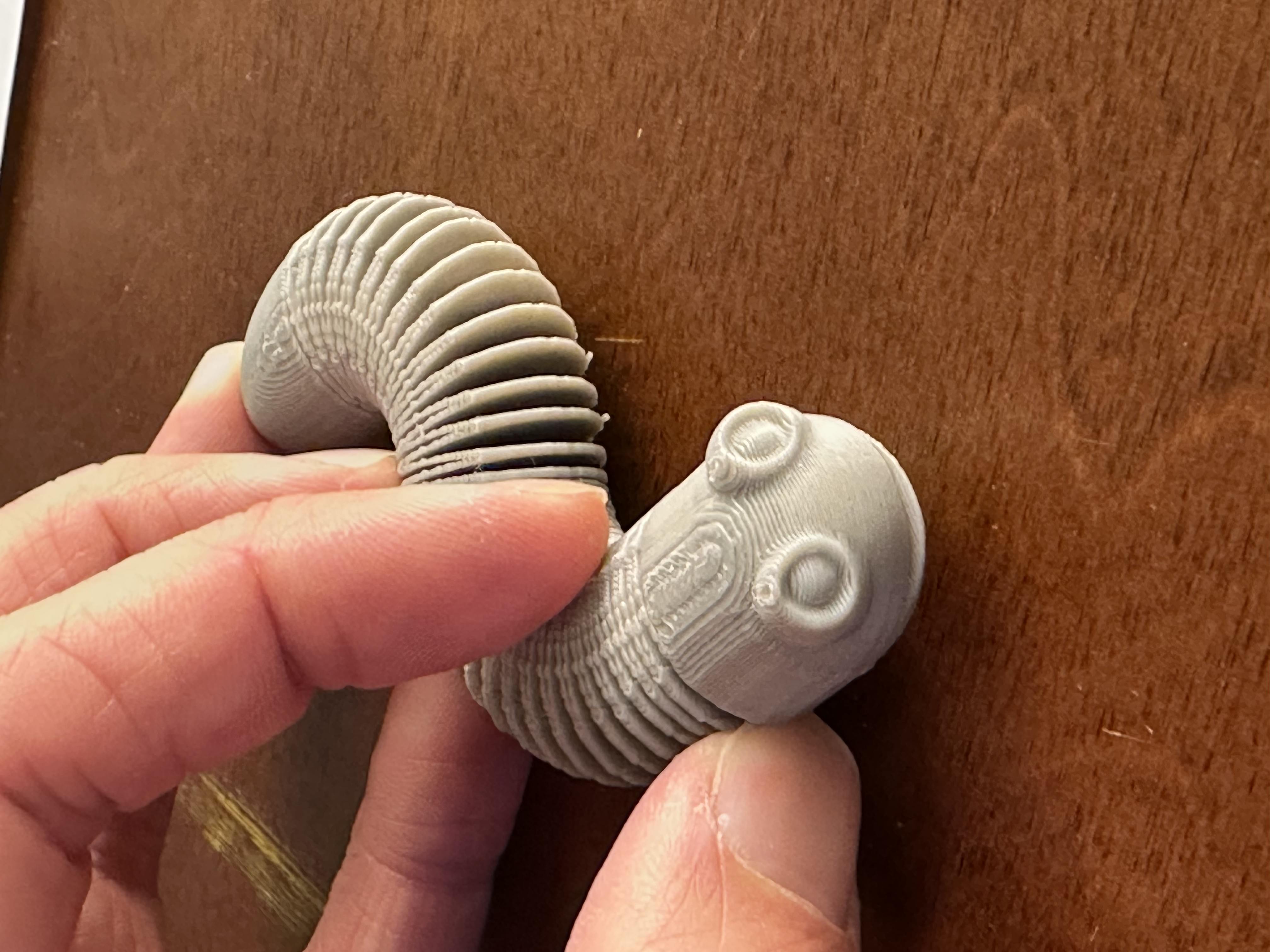 Wiggly Worm Fidget Toy
