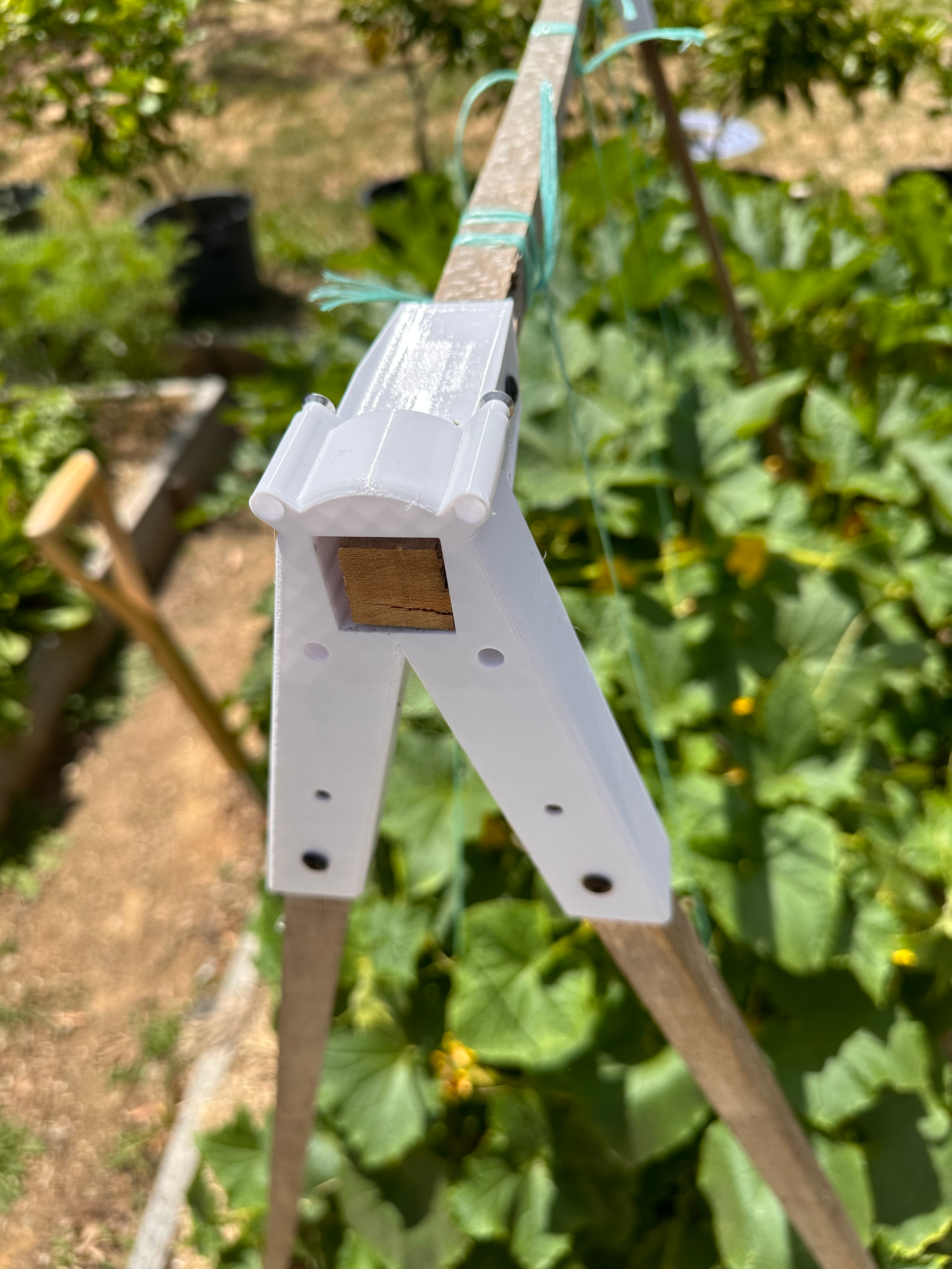 Tomato & Cucumber Trellis Brackets