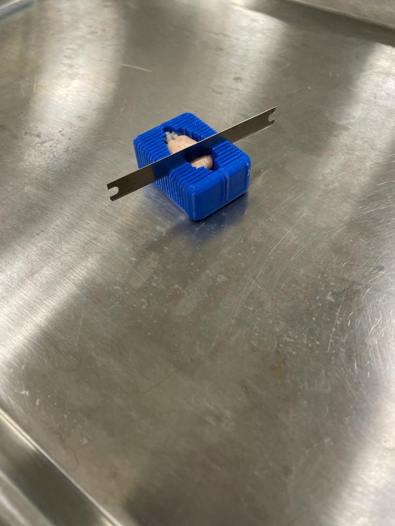 Rat Brain Slicer por Nachum Twersky | Descargar modelo STL gratuito ...