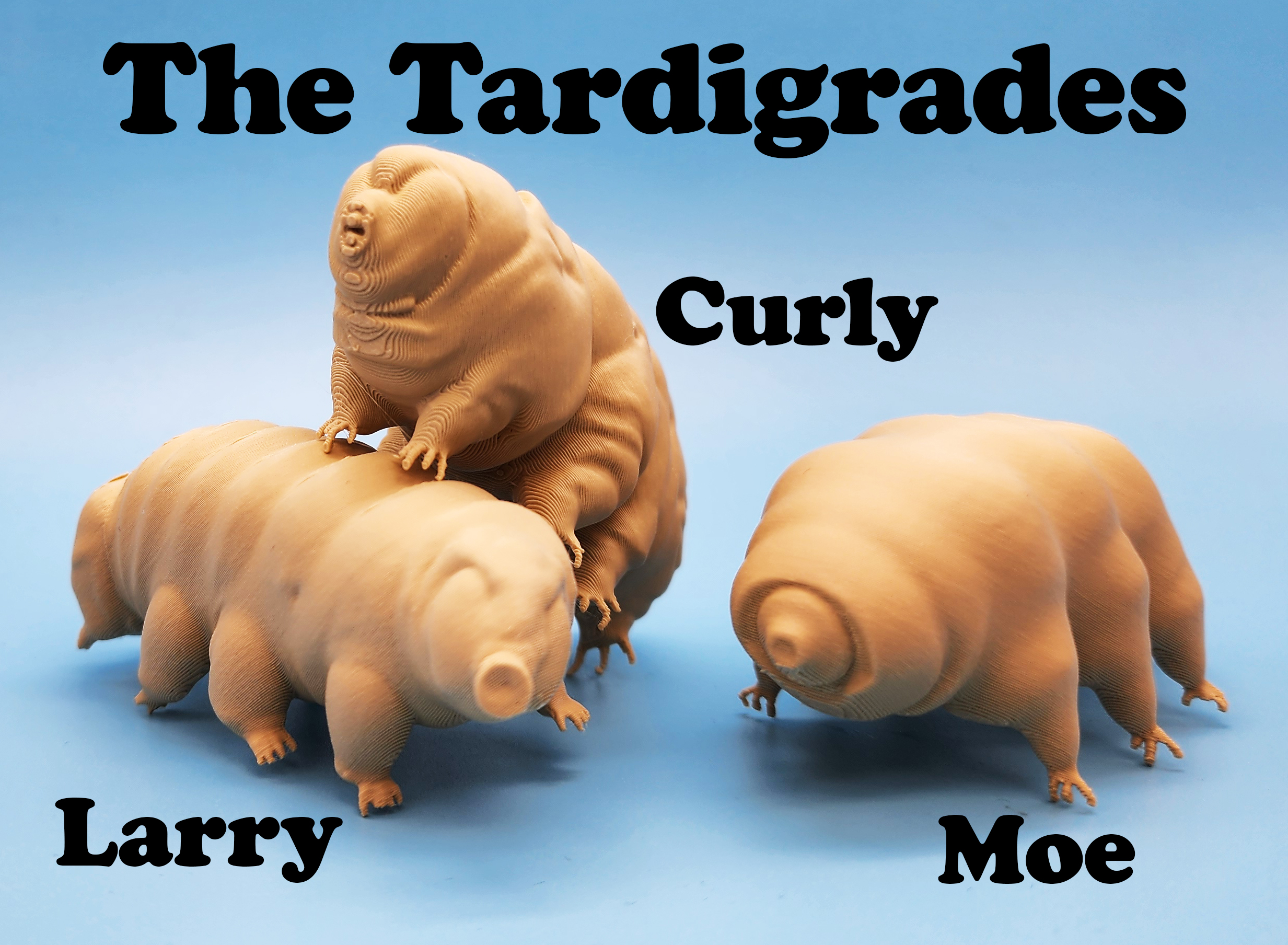 The Tardigrades - 3 Models