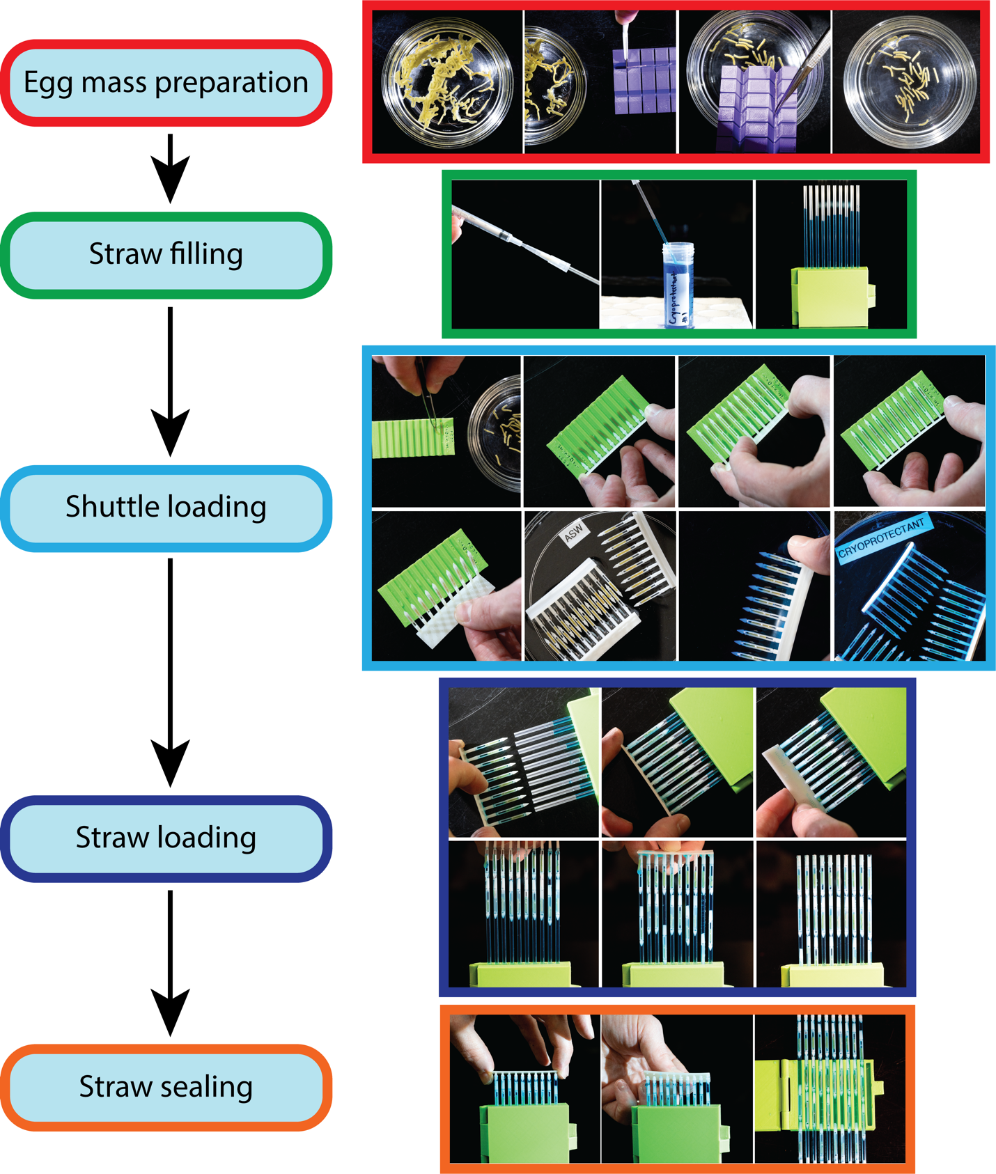 Strand Cryopreservation Shuttle System (SCSS)
