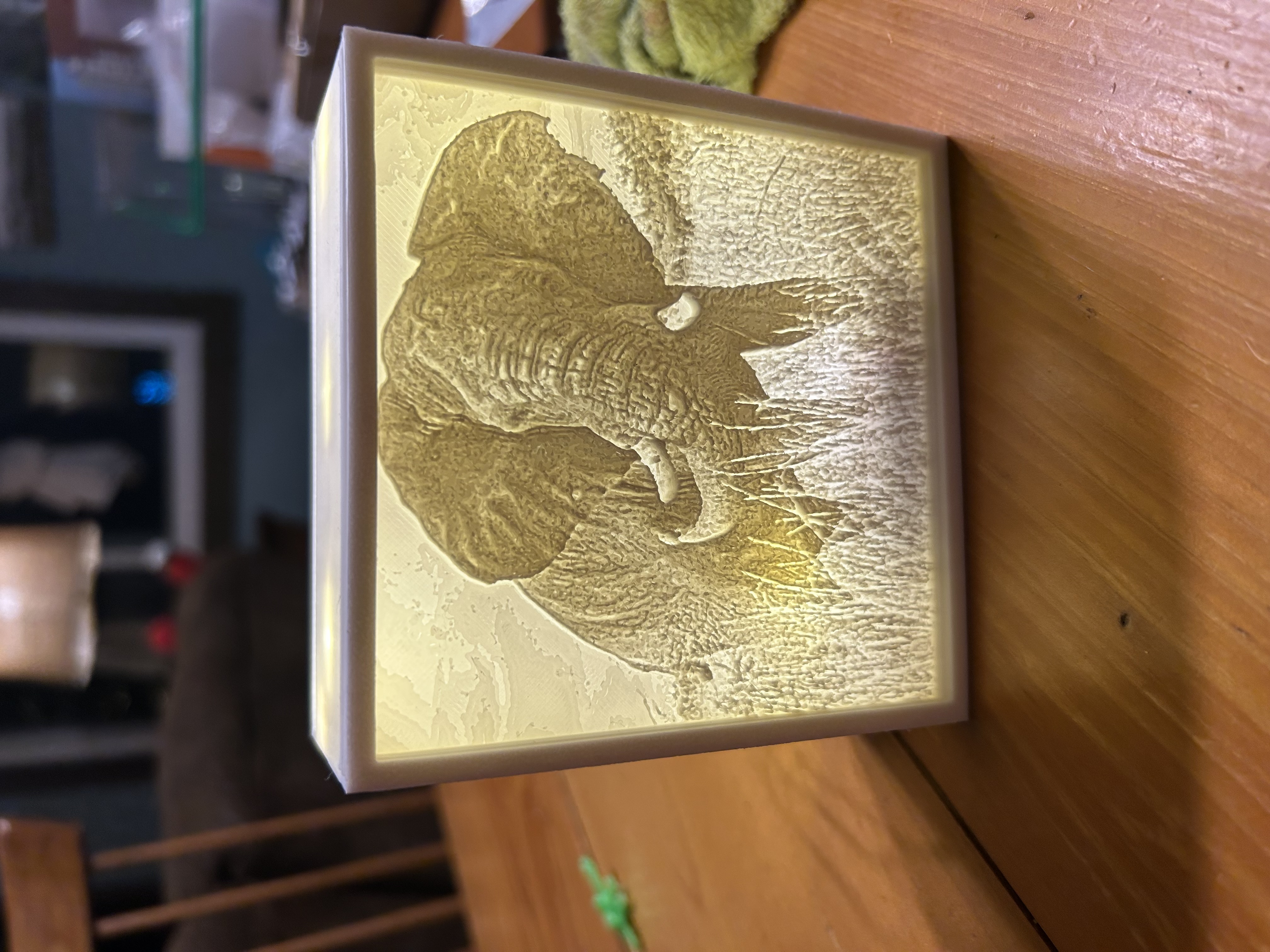 Double Sided Lithopane Box