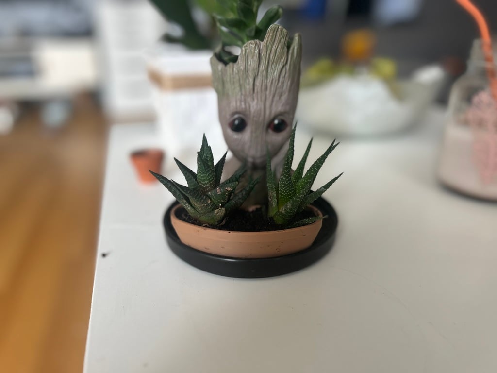 Flowerpot mini