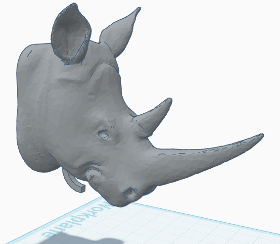 Rhino Knocker
