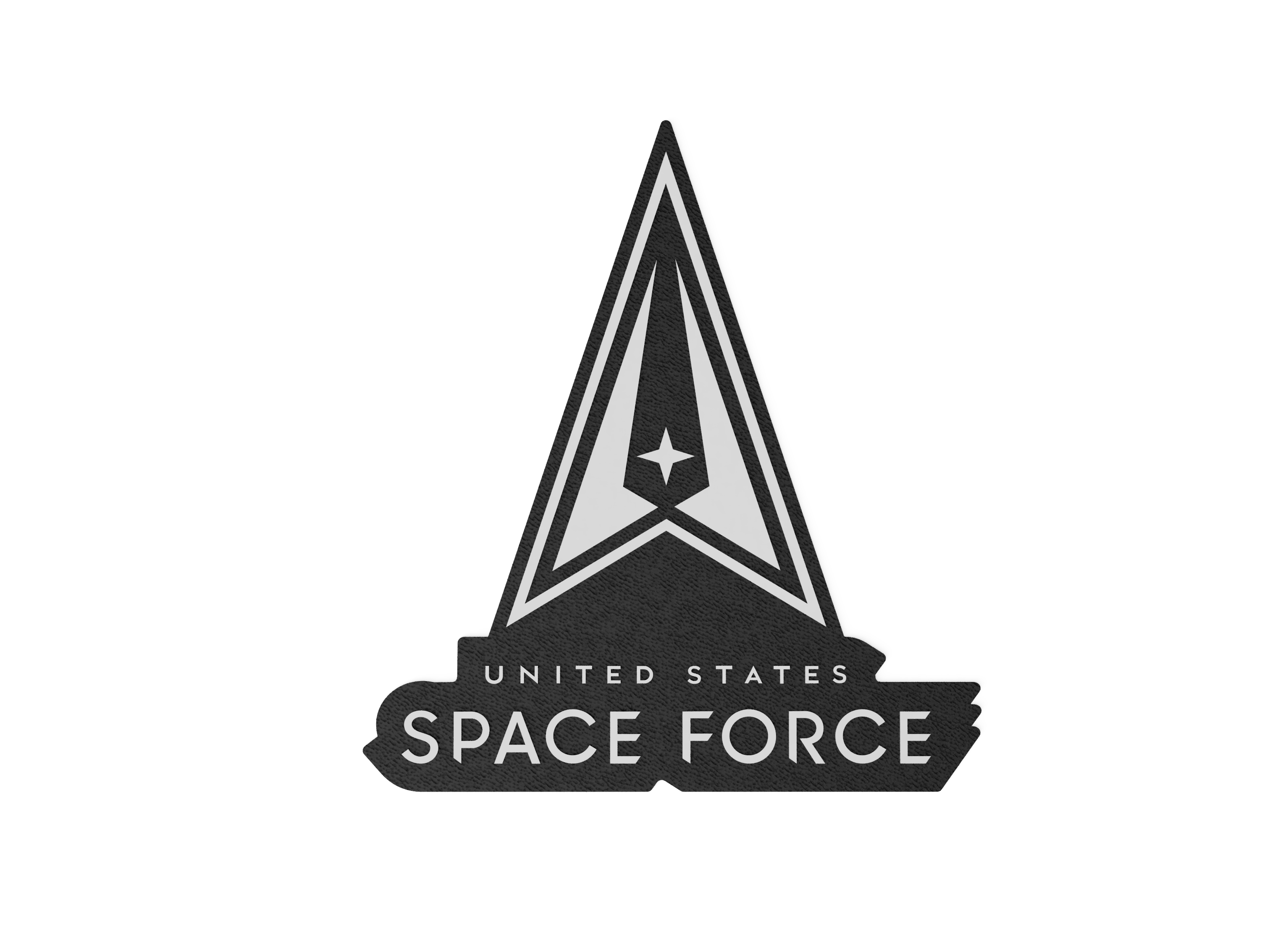 Space Force Logo