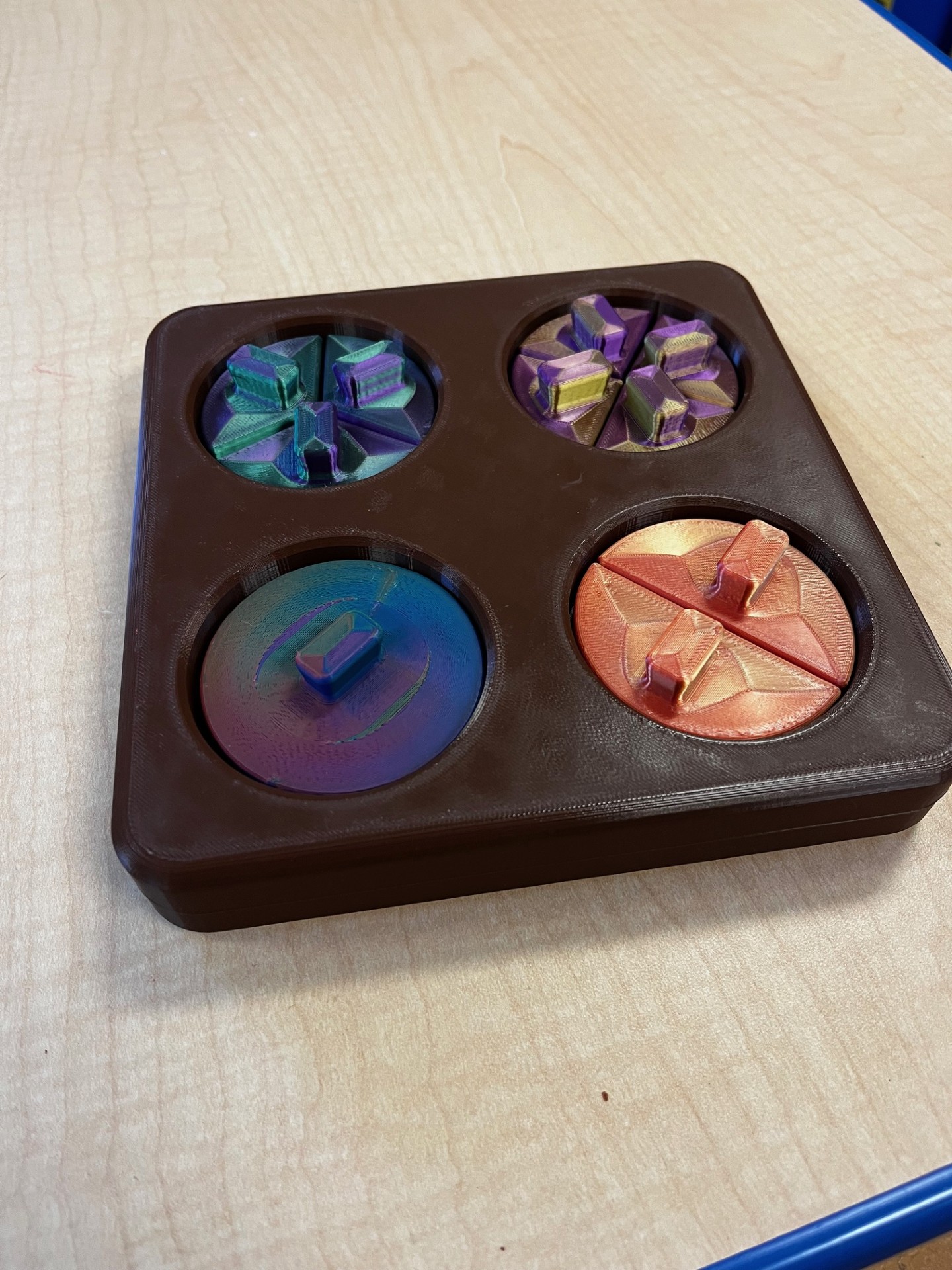 Montessori Circles Puzzle