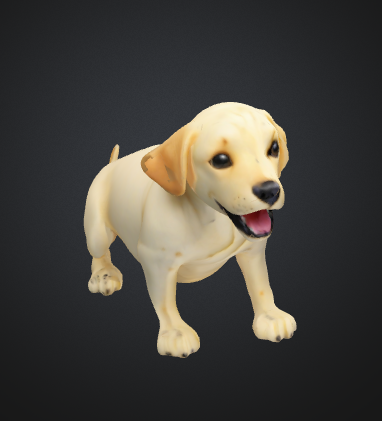 Cute Labrador Retriever