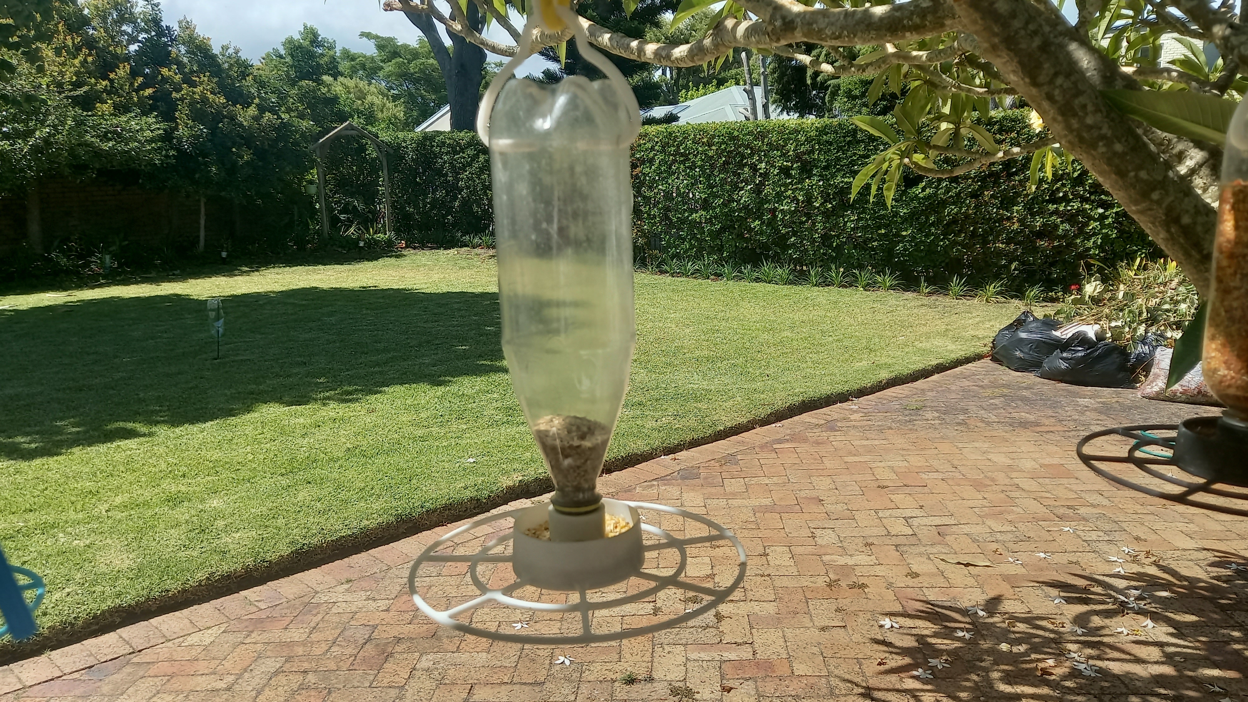 Wild Bird Feeder — miniatura 19