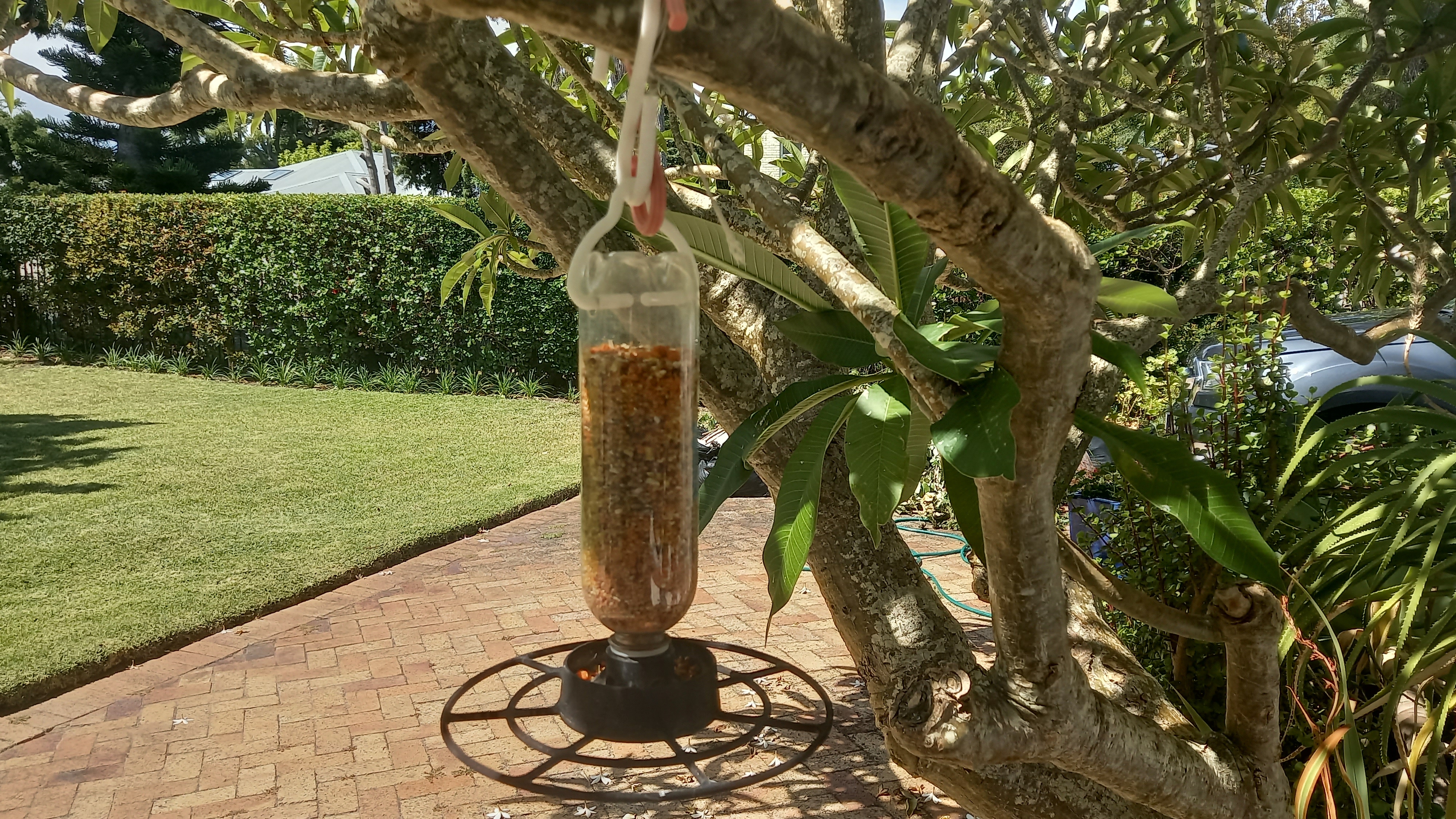 Wild Bird Feeder — miniatura 4
