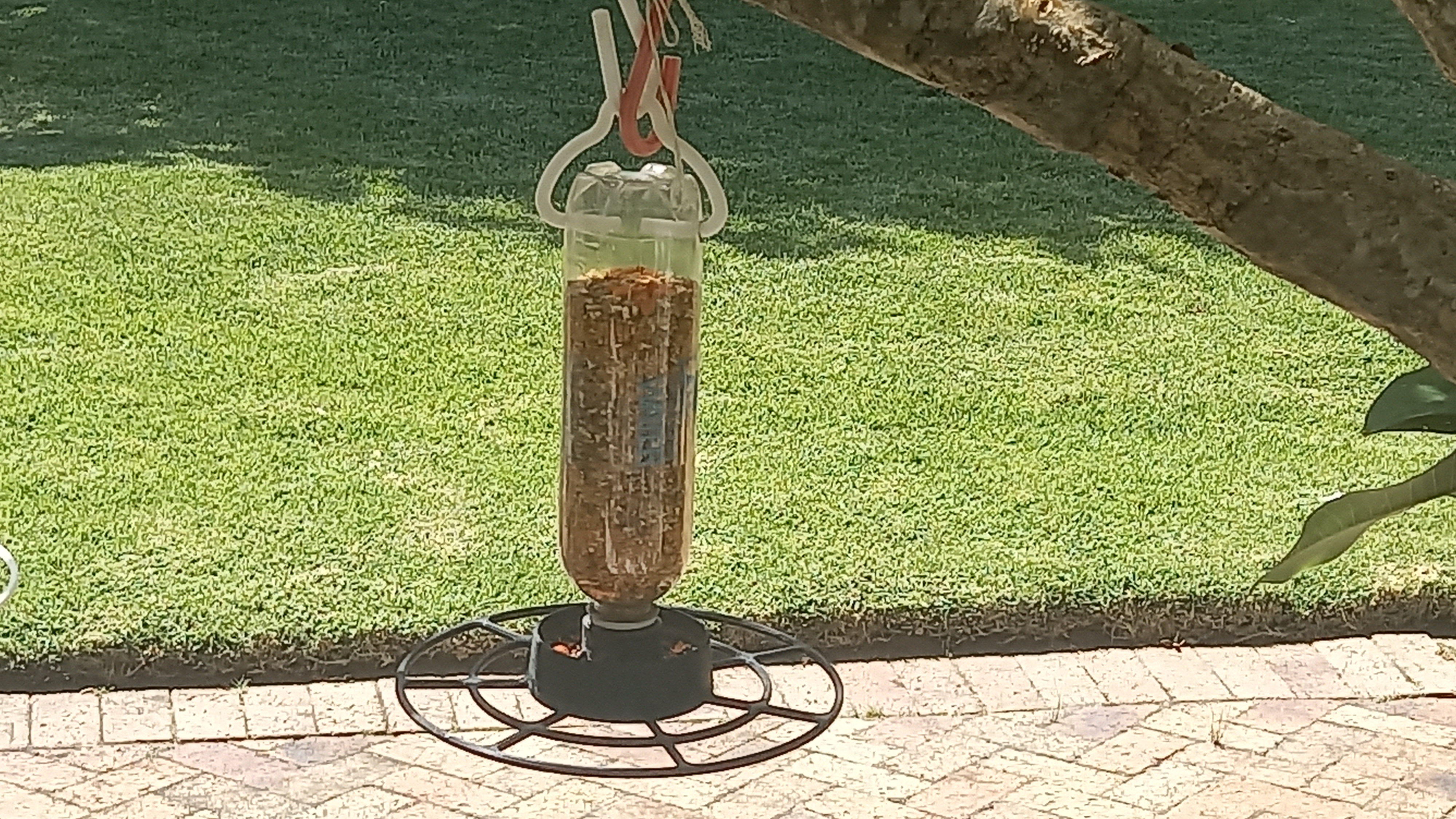 Wild Bird Feeder — miniatura 20
