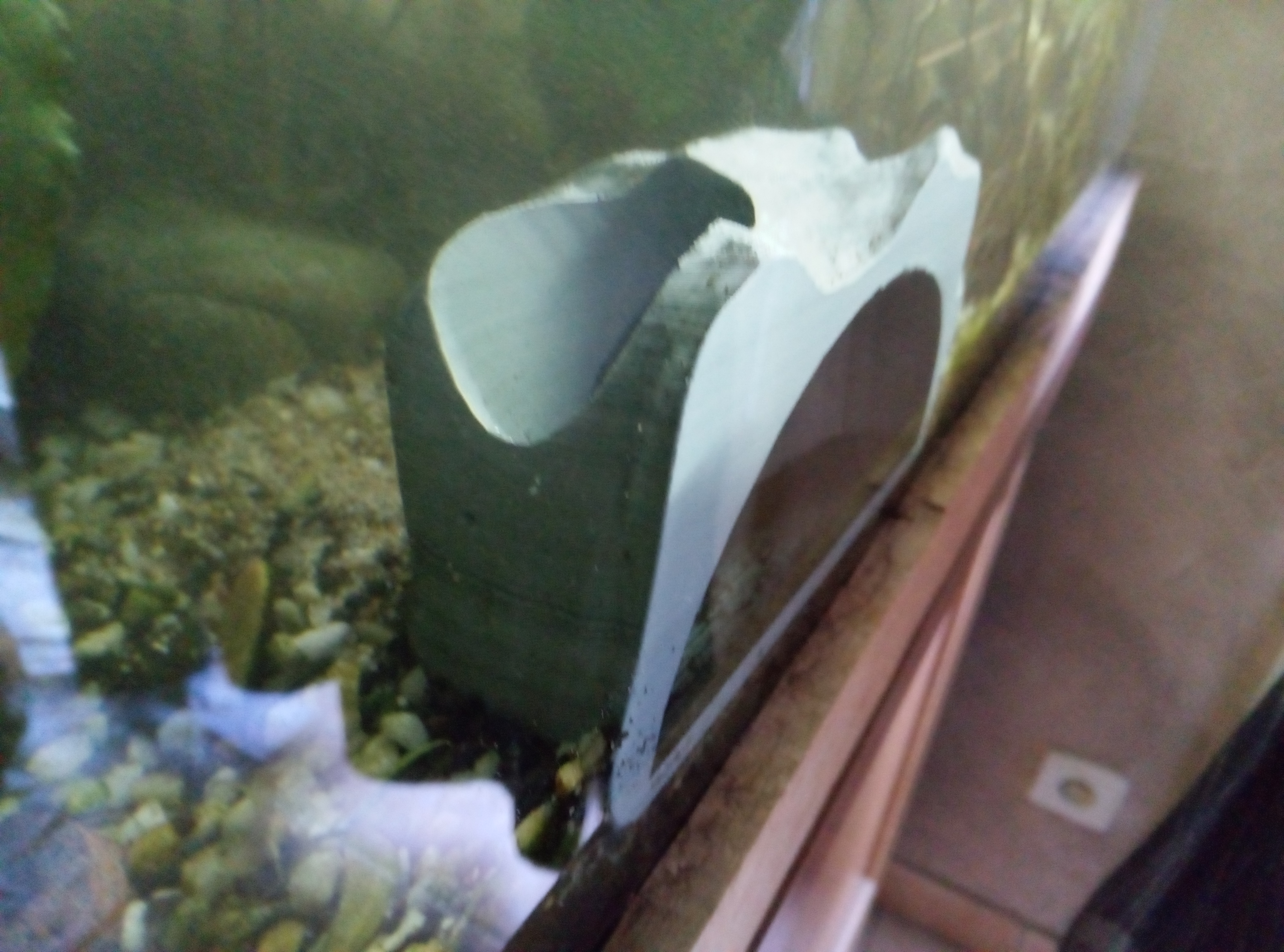Miniatura 3 do modelo 3D aquarium cave