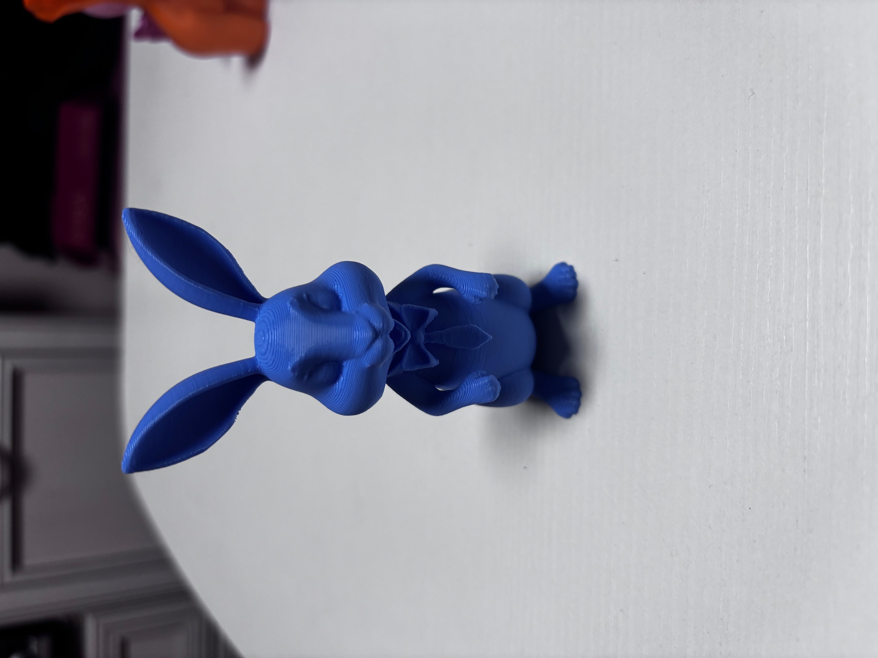 Cute bunny