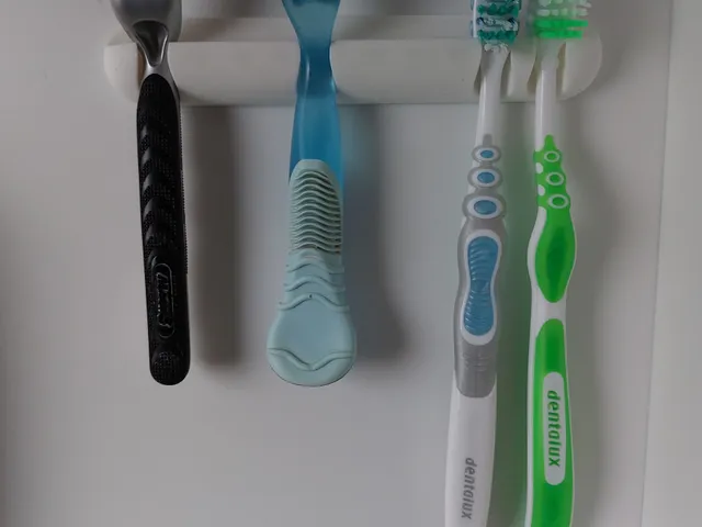 Zahnbürsten / Rasiererhalter Toothbrushes / razor holder